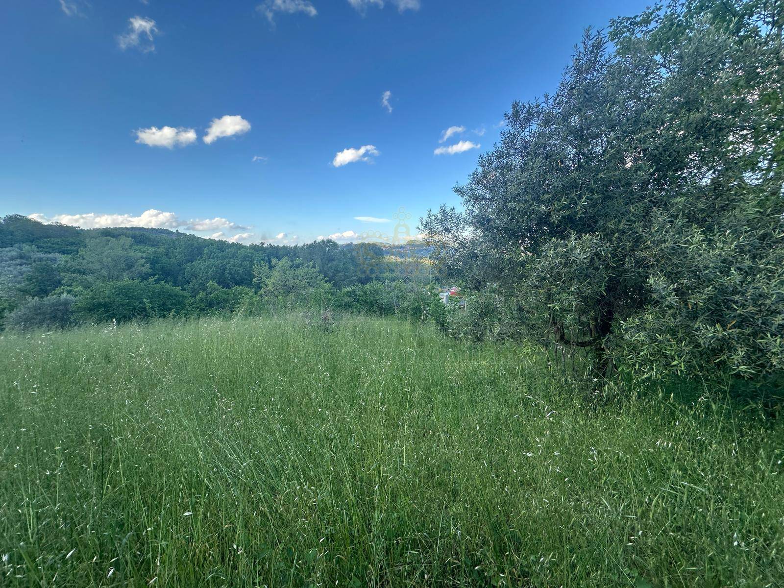 Terreno agricolo in vendita a Ospedaletto d'Alpinolo