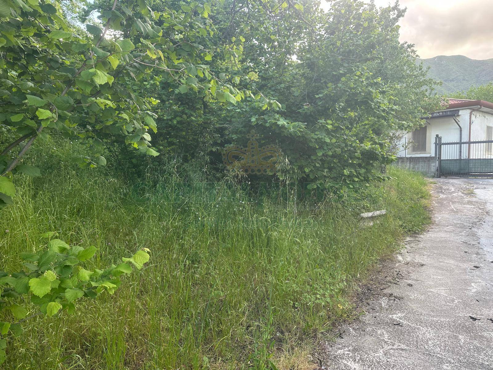 Terreno agricolo in vendita a Ospedaletto d'Alpinolo