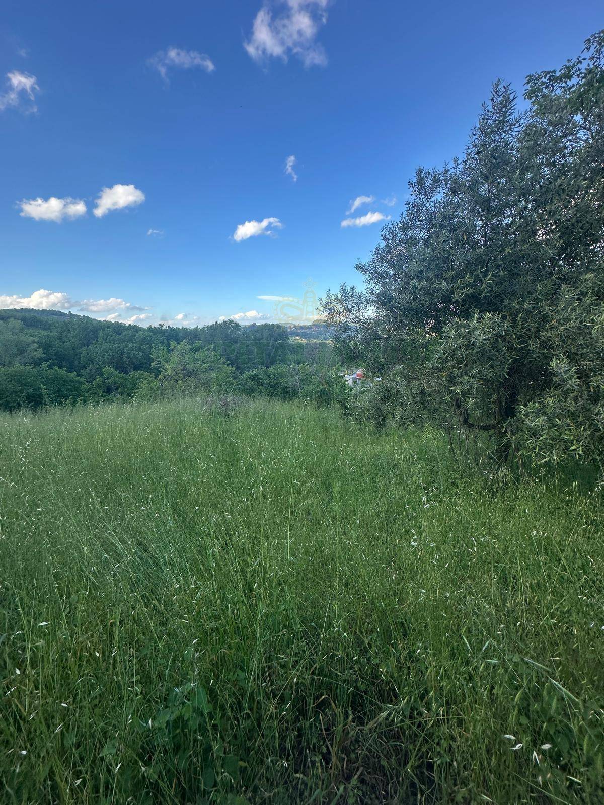 Terreno agricolo in vendita a Ospedaletto d'Alpinolo