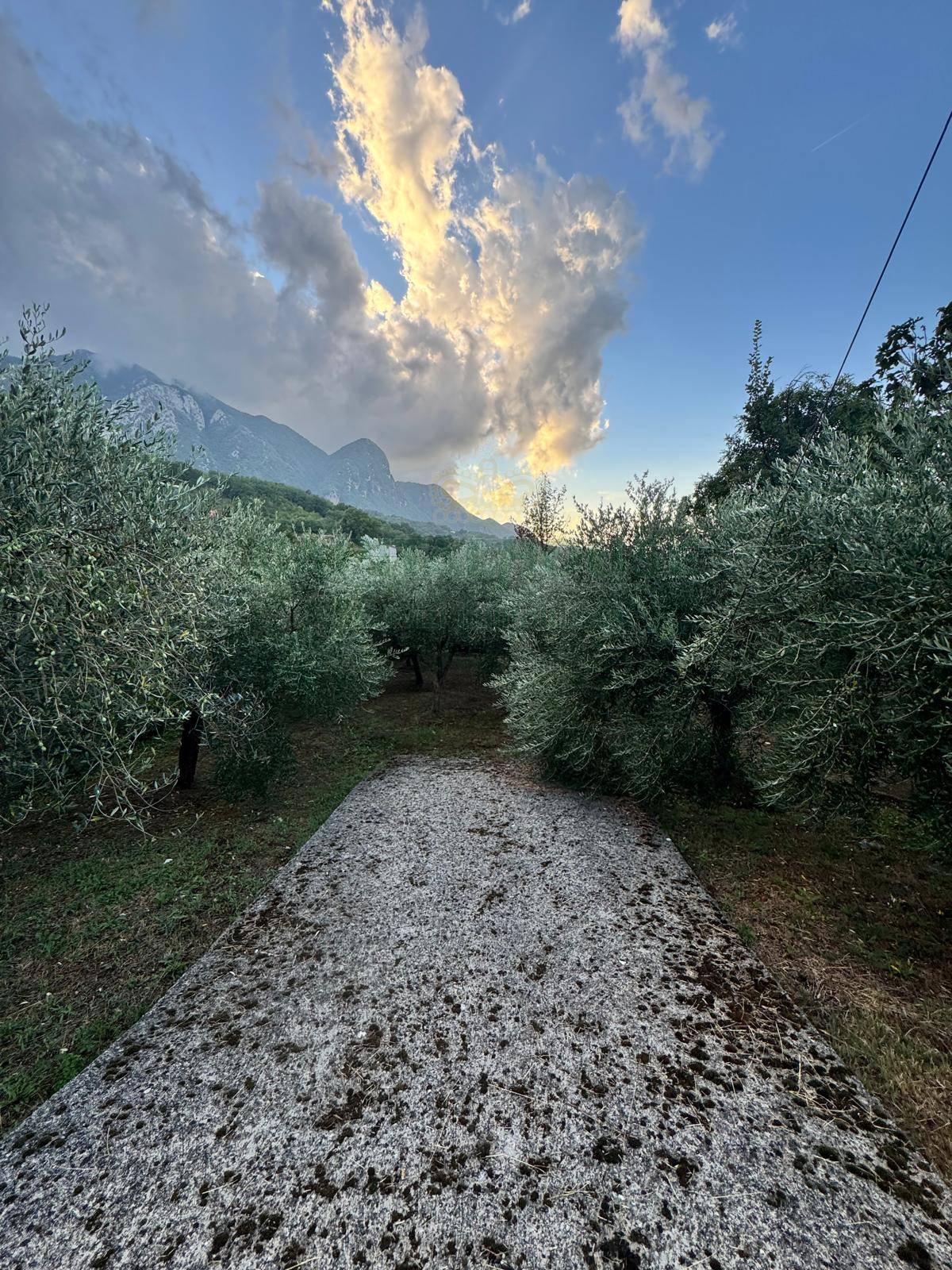 Terreno agricolo in vendita a Capriglia Irpina