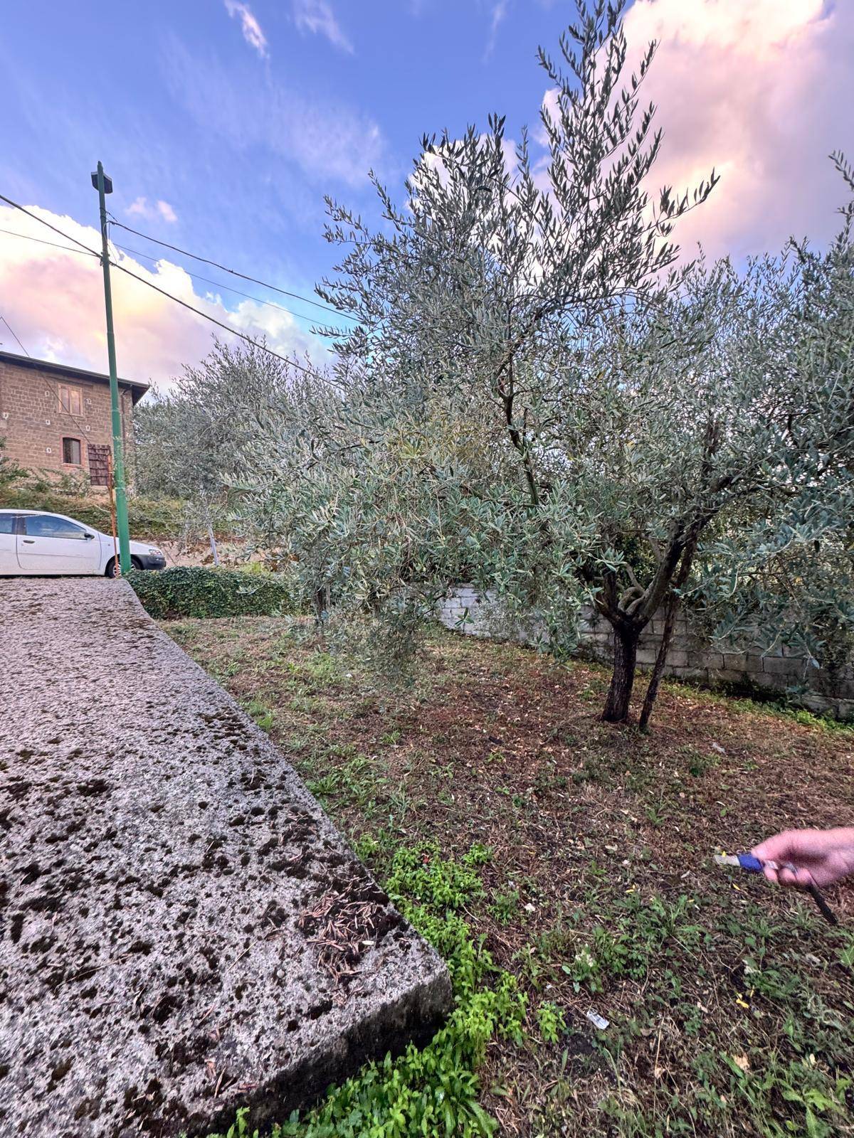 Terreno agricolo in vendita a Capriglia Irpina