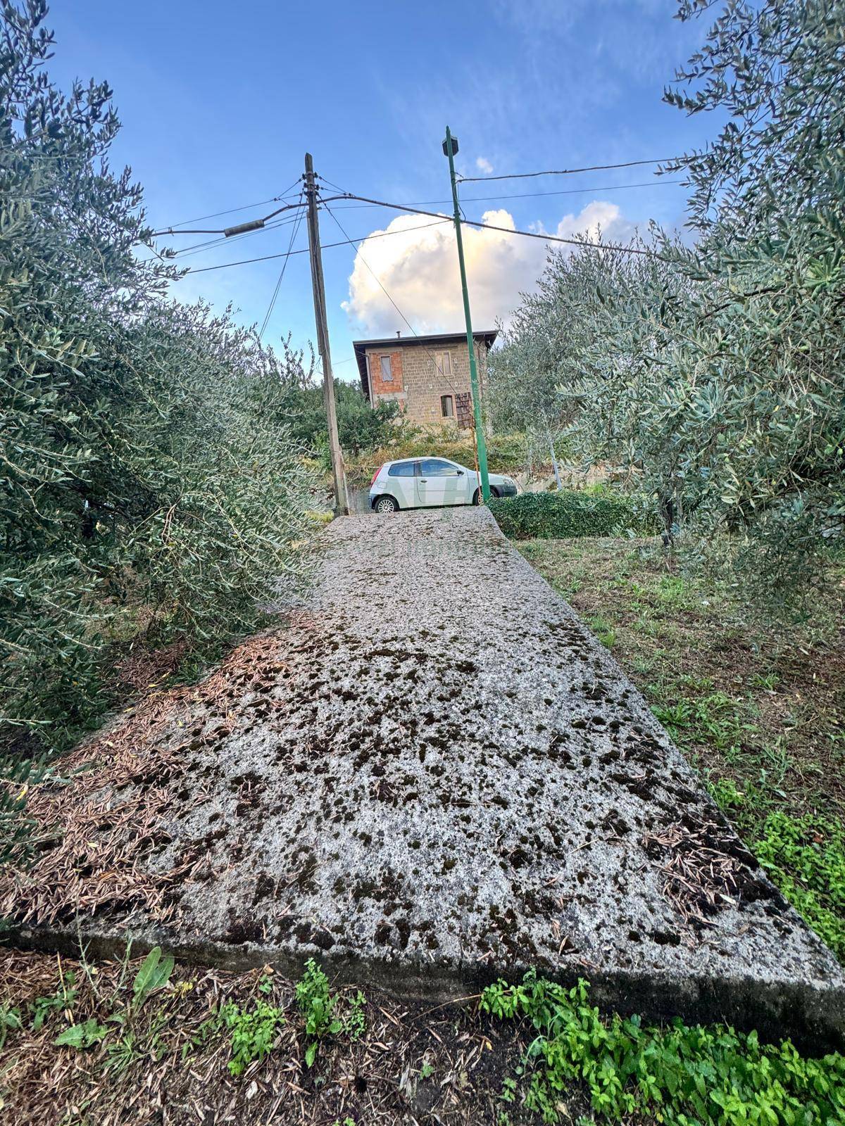 Terreno agricolo in vendita a Capriglia Irpina