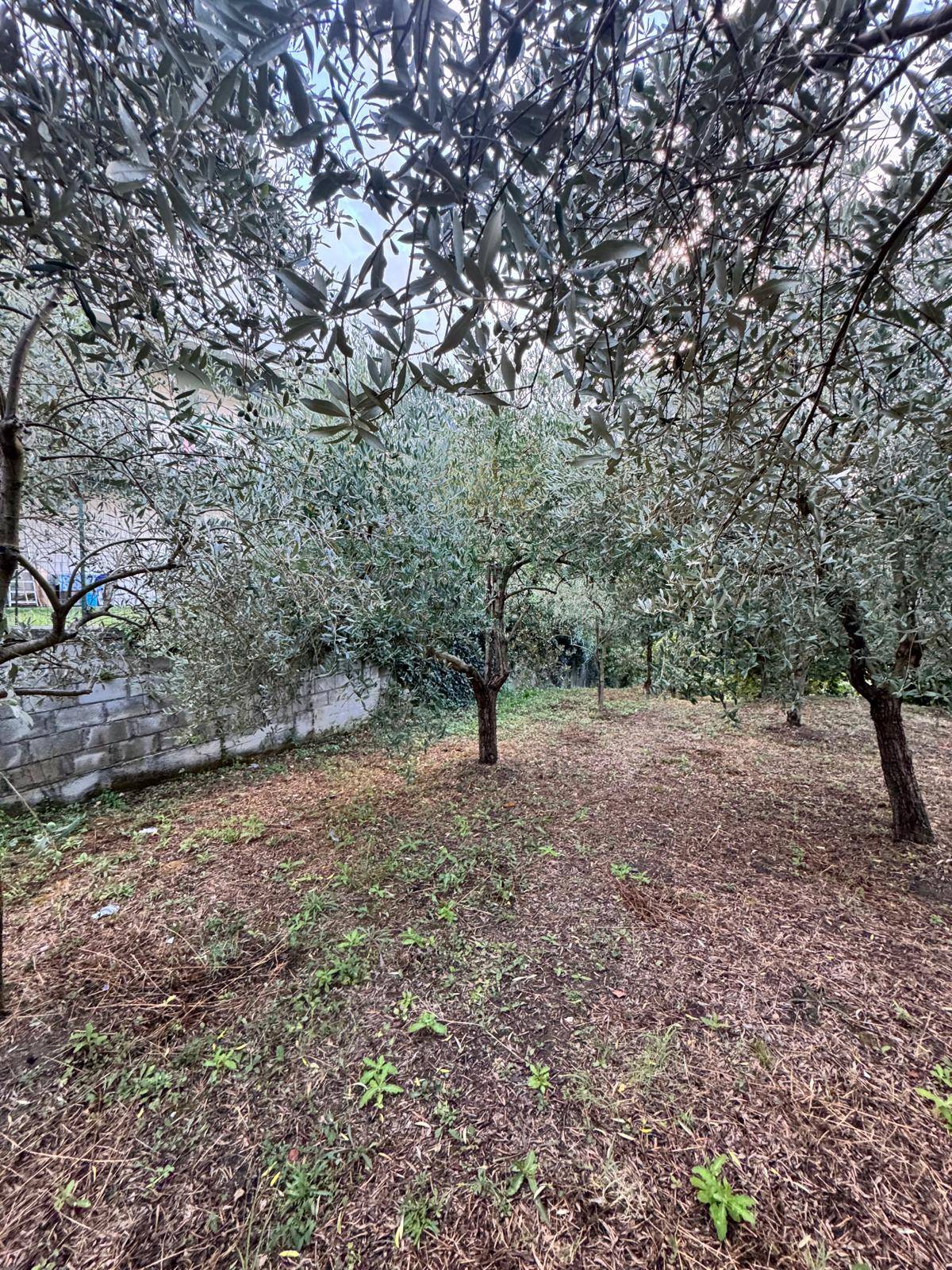 Terreno agricolo in vendita a Capriglia Irpina
