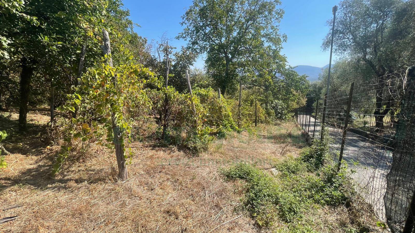 Terreno edificabile in vendita a Mercogliano