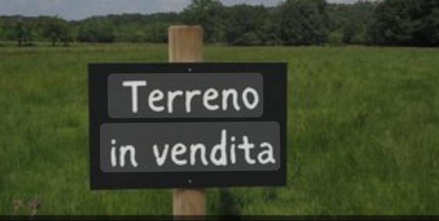 Terreno Agricolo in vendita, Massa quercioli