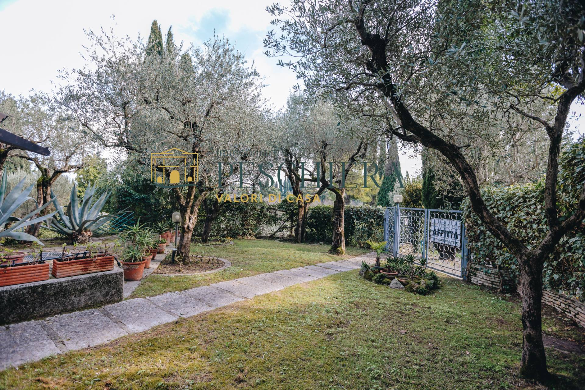 immagine annuncio 2 di 6