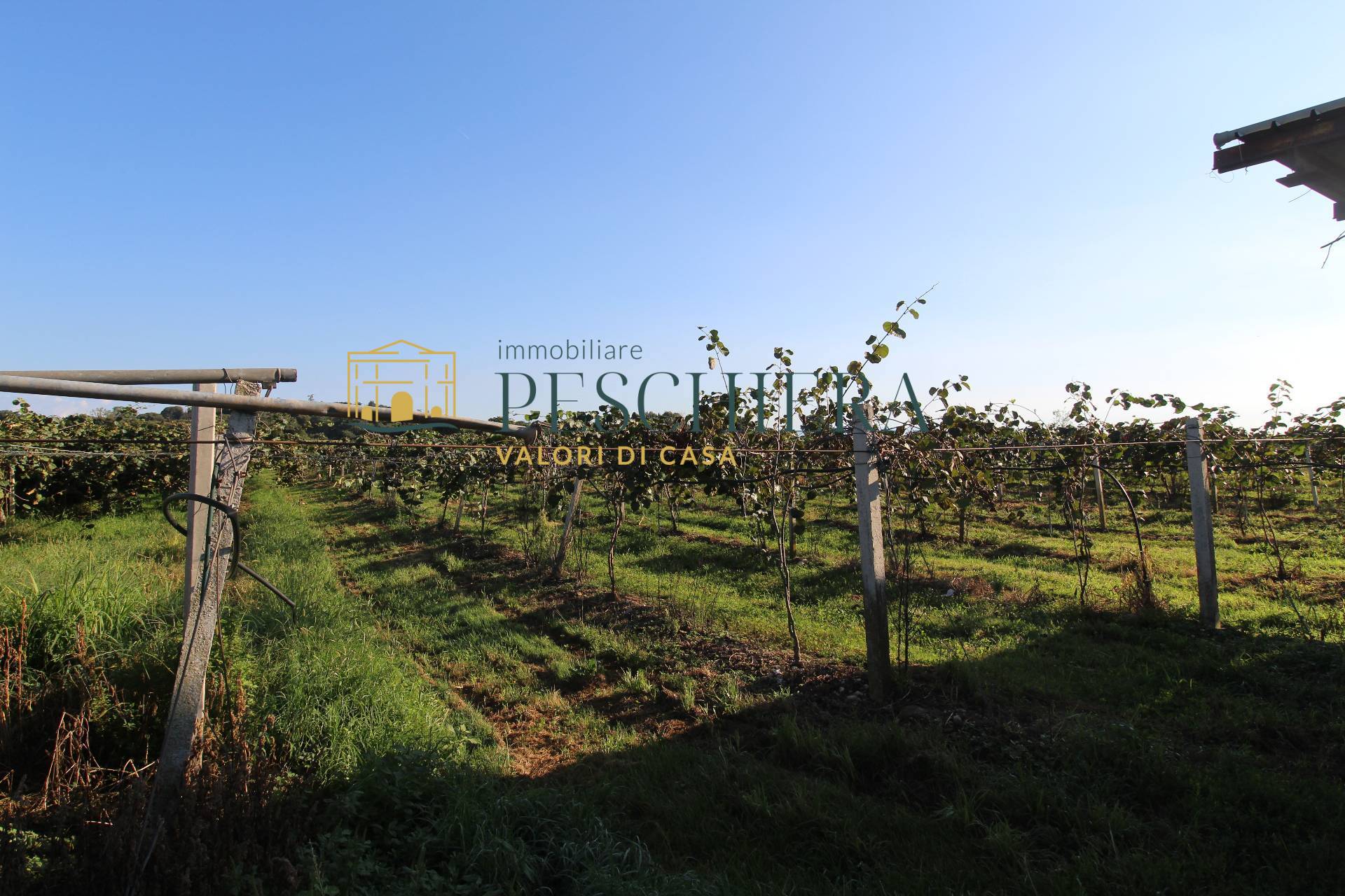 Terreno Agricolo in vendita a Volta Mantovana, Generica