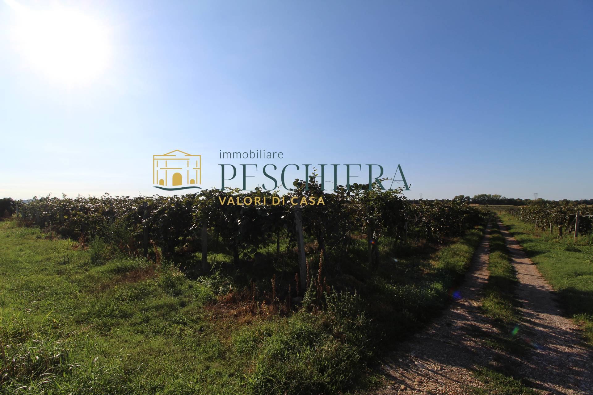 Terreno Agricolo in vendita a Volta Mantovana, Generica