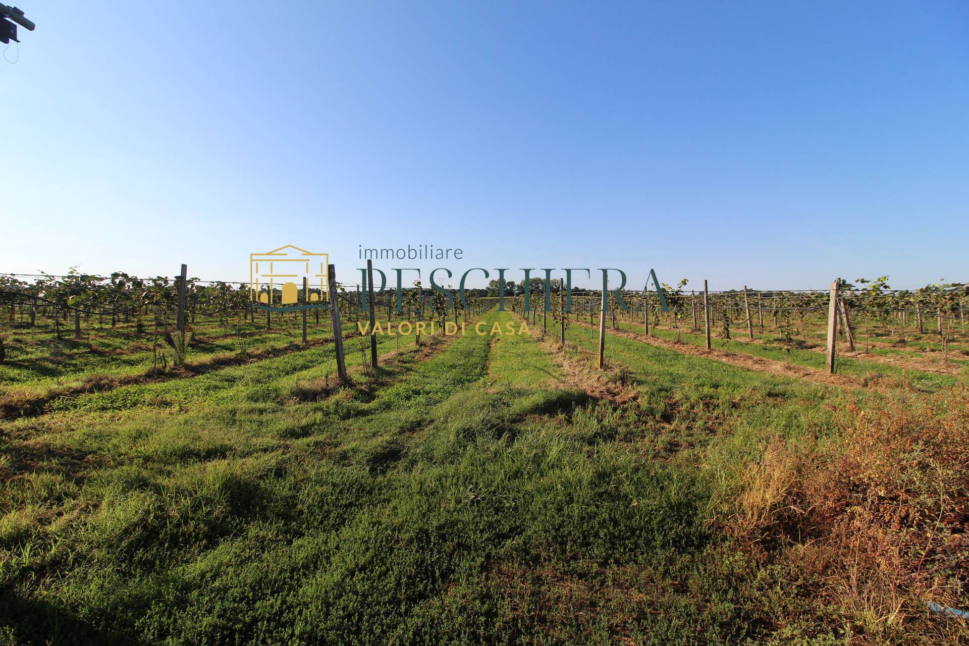 Terreno Agricolo in vendita a Volta Mantovana, Generica