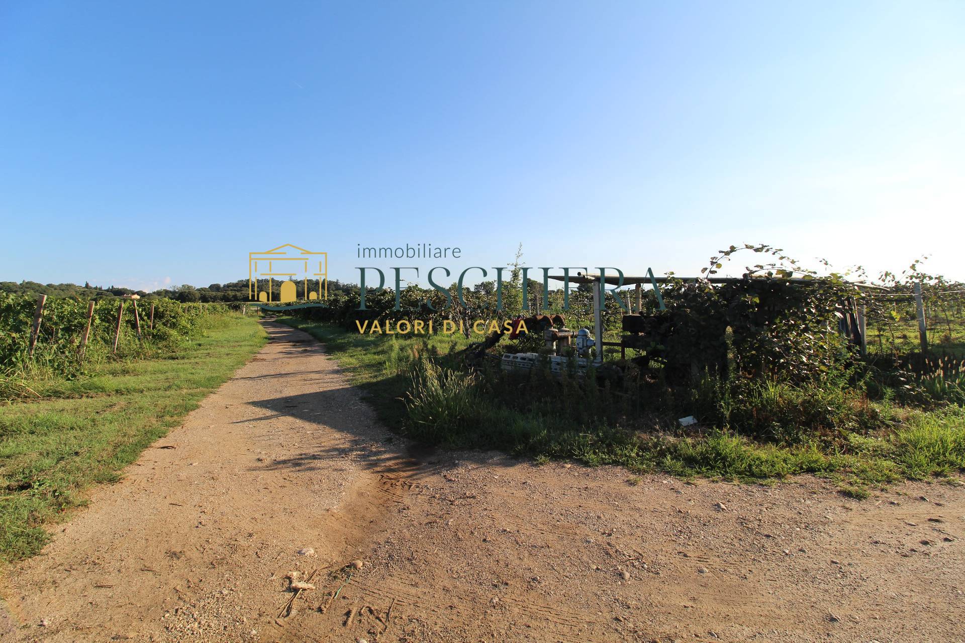 Terreno Agricolo in vendita a Volta Mantovana, Generica
