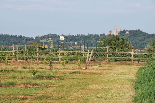 Ristorante - Residenziale in vendita a Valeggio sul Mincio, Borghetto
