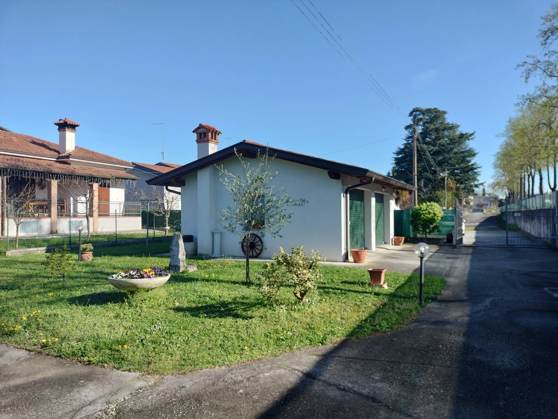 immagine annuncio 5 di 6