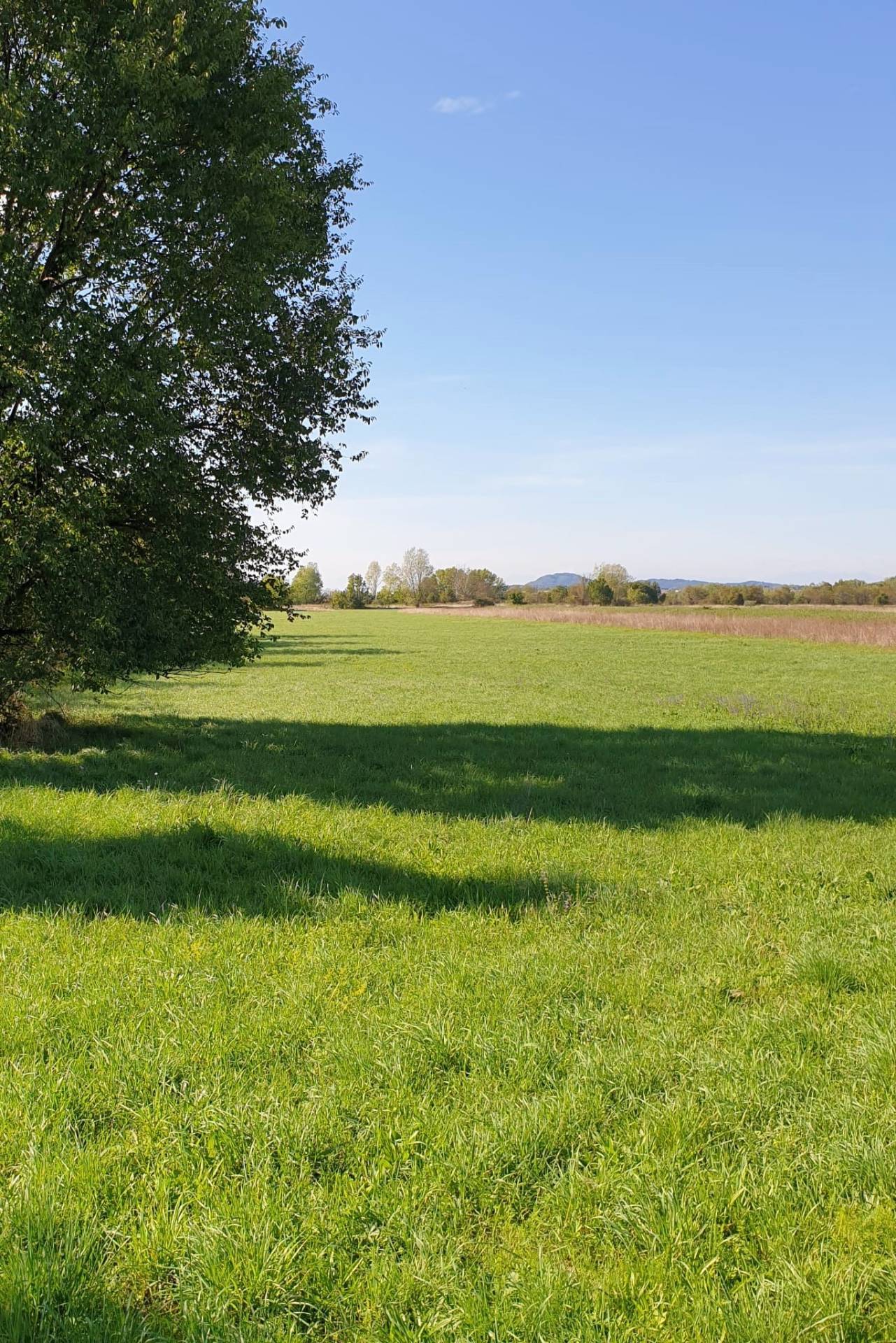 Terreno in vendita a Gorizia, Sant'Andrea