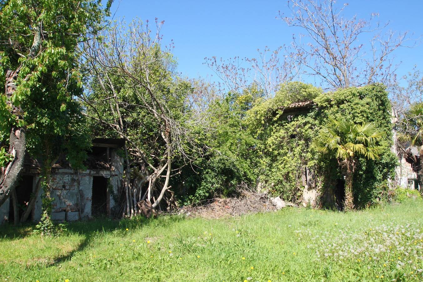 Casale e Rustico in vendita a Gradisca d'Isonzo