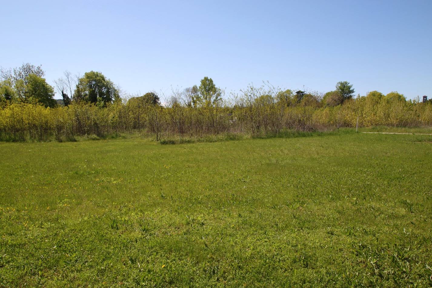 Casale e Rustico in vendita a Gradisca d'Isonzo