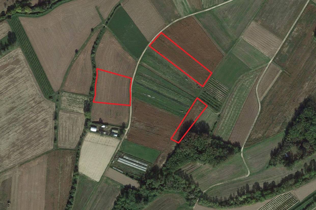 Terreno Agricolo in vendita a Farra d'Isonzo