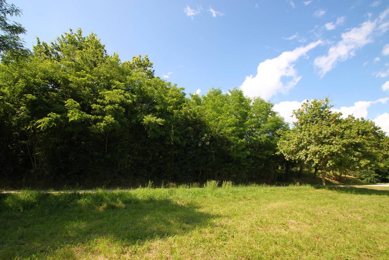 Terreno Agricolo in vendita a Capriva del Friuli