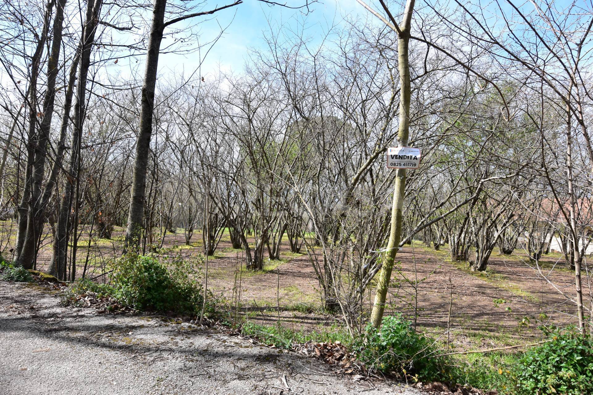 Terreno Agricolo in vendita a Manocalzati