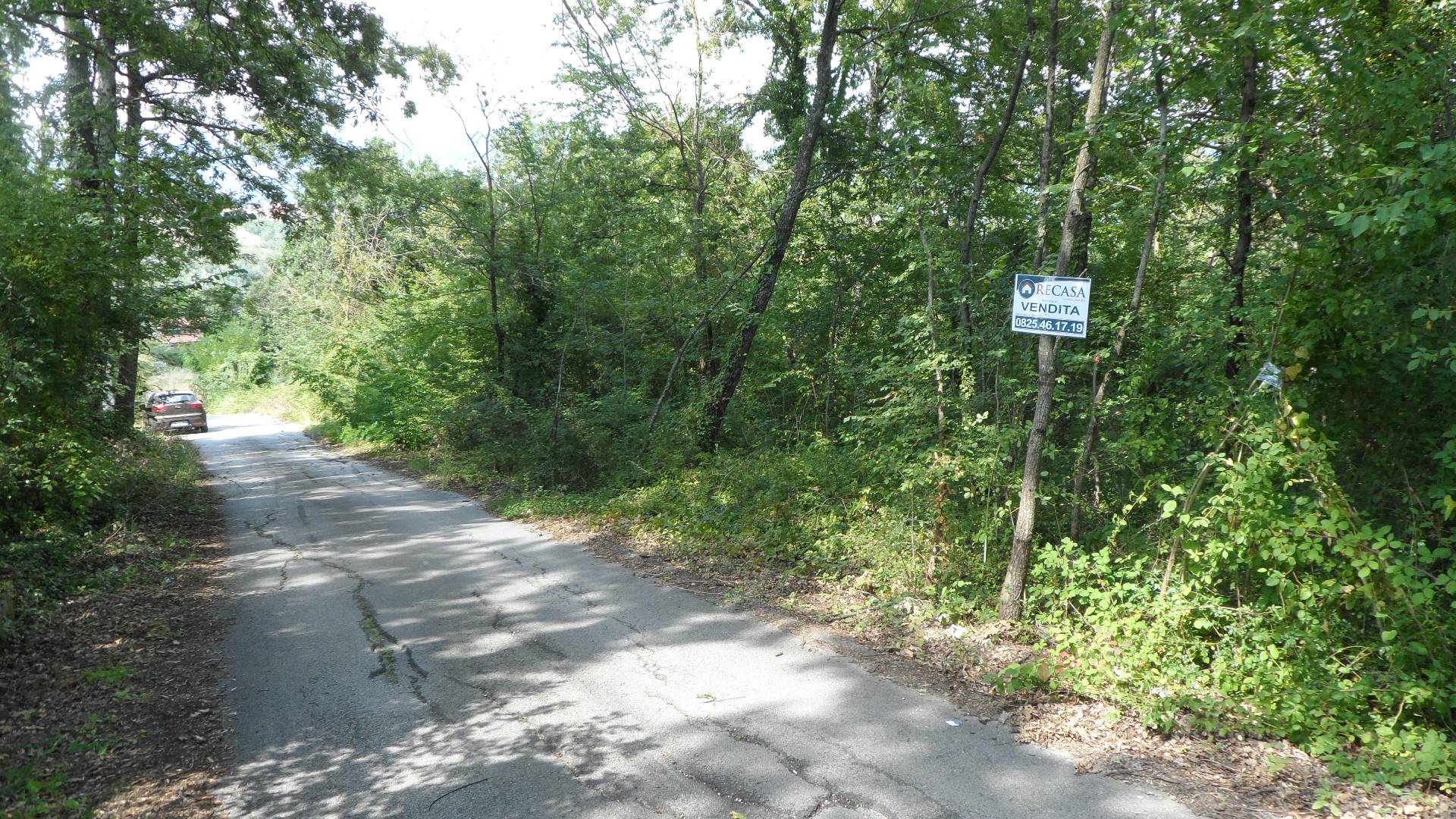 Terreno Agricolo in vendita a Candida