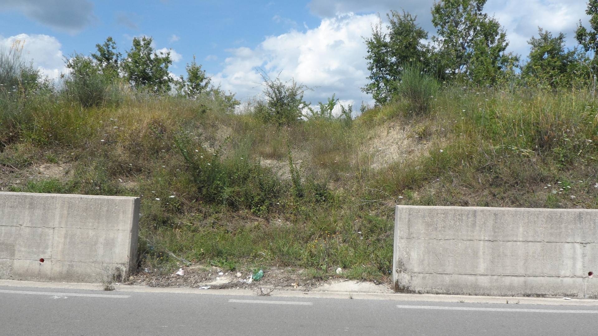 Terreno Agricolo in vendita a Candida