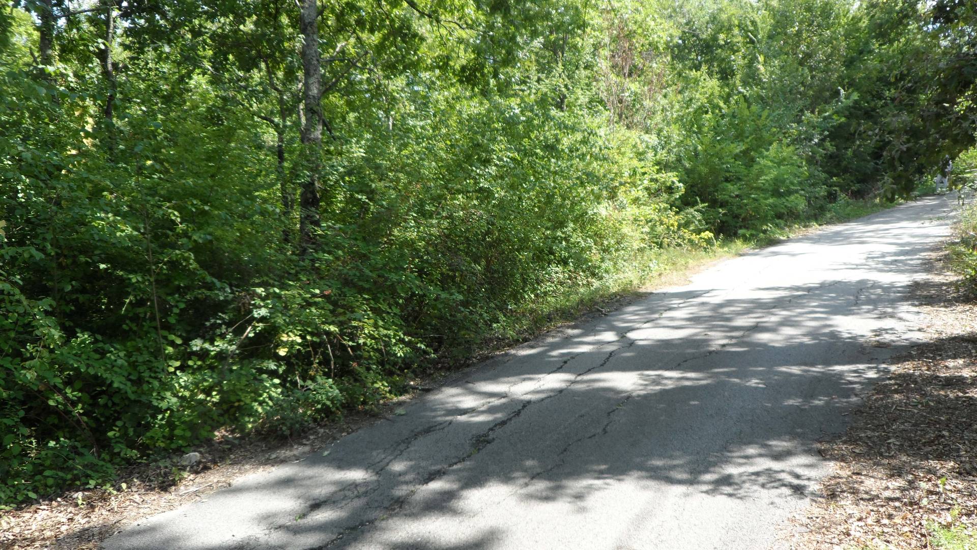 Terreno Agricolo in vendita a Candida