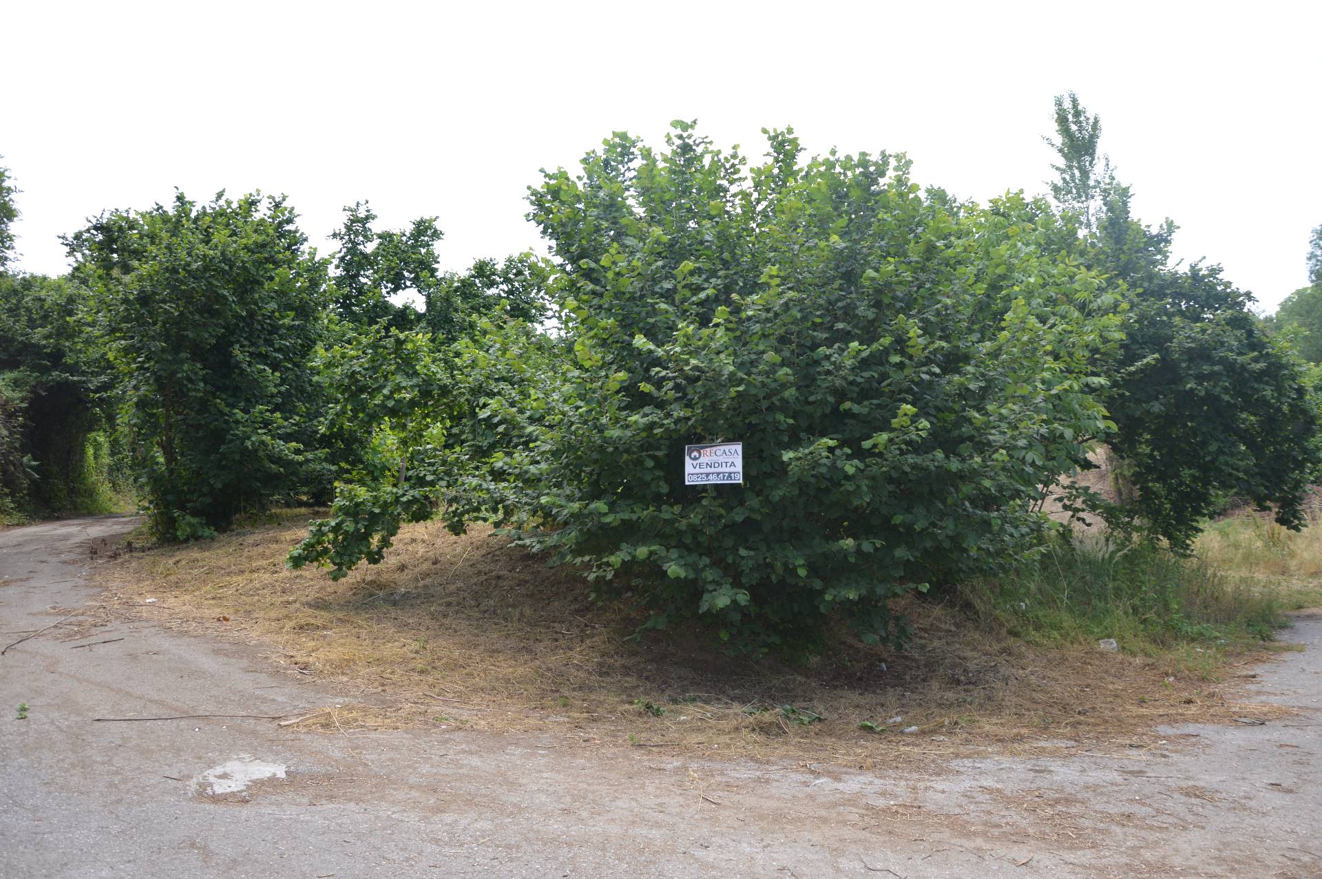 Terreno Agricolo in vendita a Atripalda