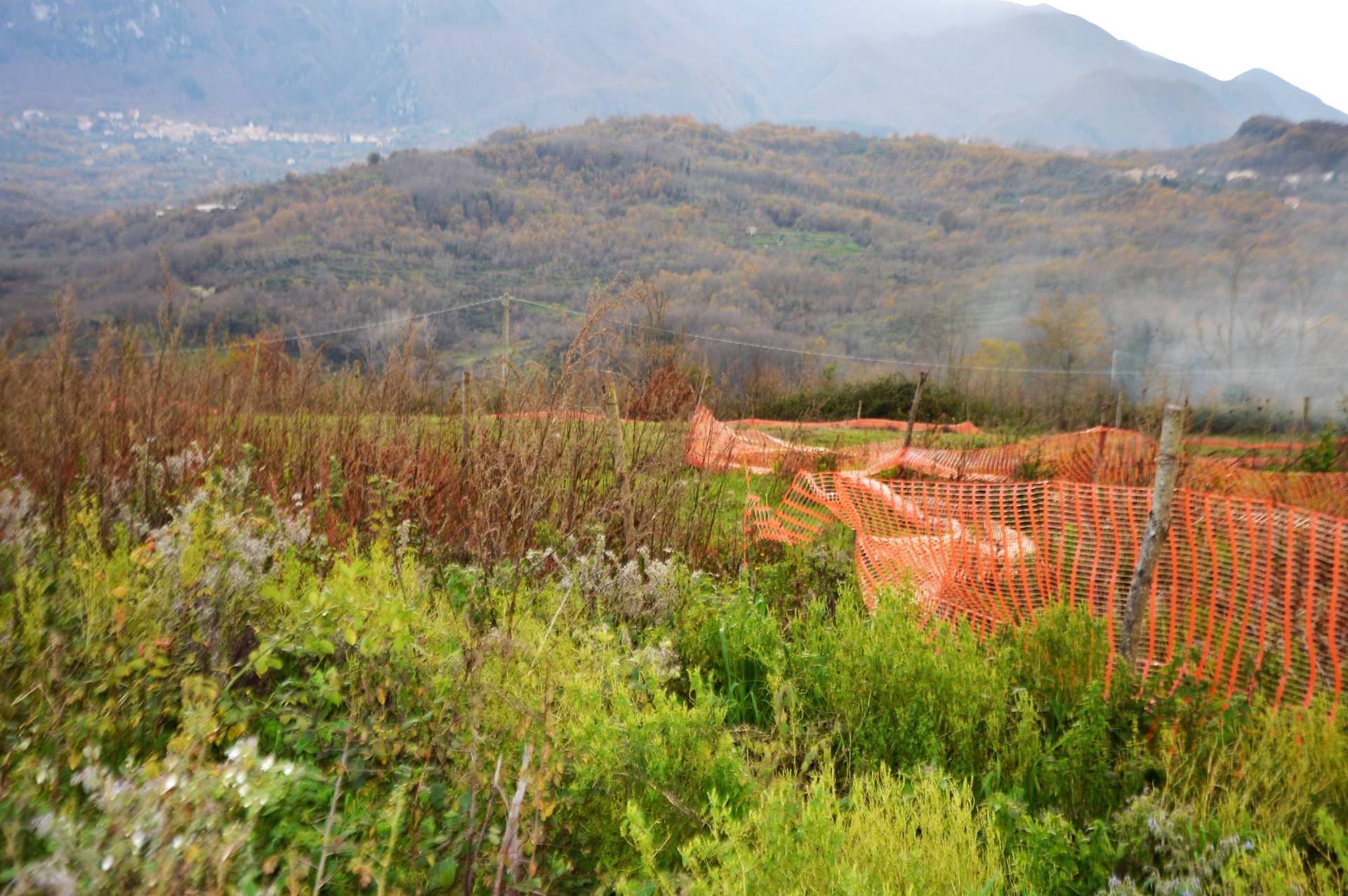 Terreno edificabile in vendita a Altavilla Irpina, Russo