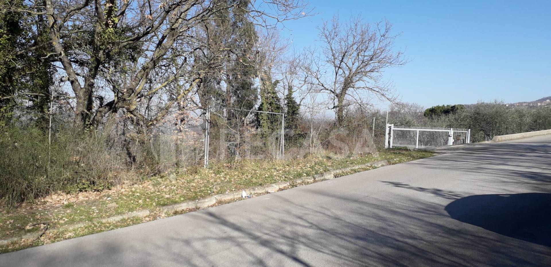 Terreno Agricolo in vendita a Candida