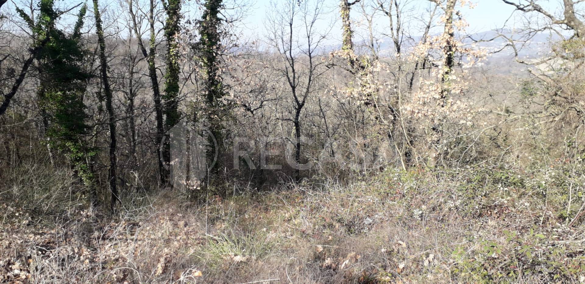 Terreno Agricolo in vendita a Candida
