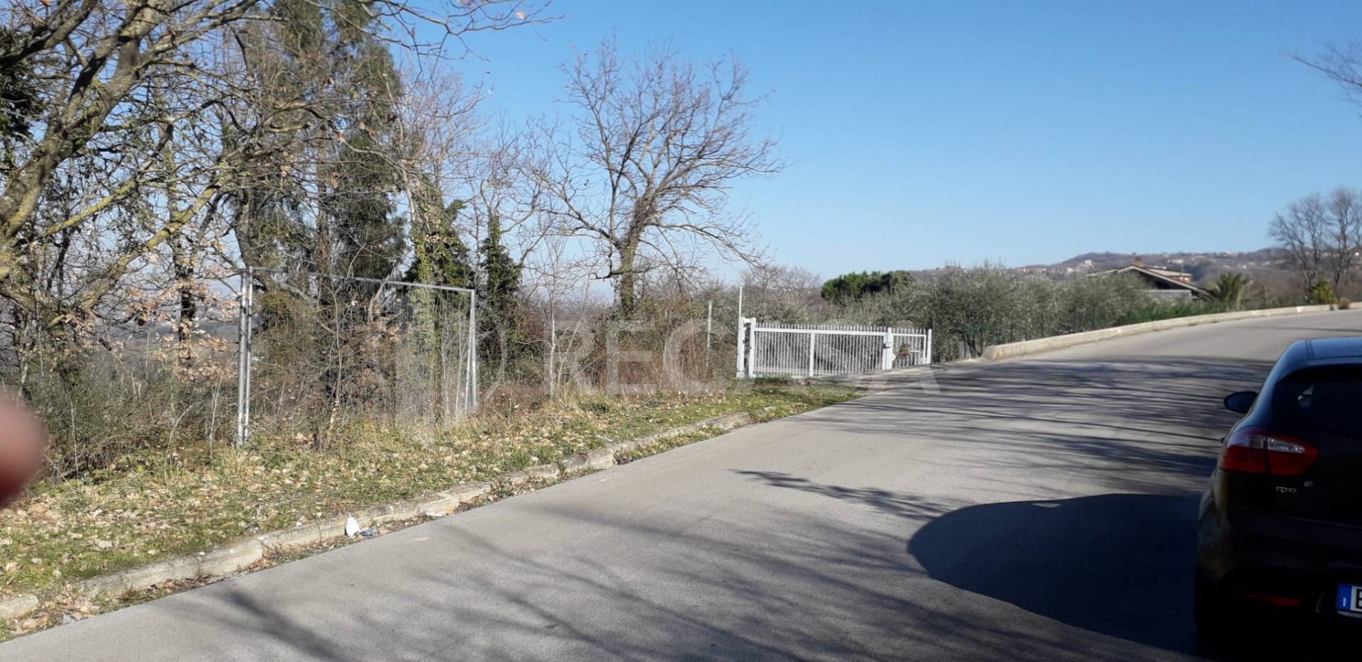 Terreno Agricolo in vendita a Candida