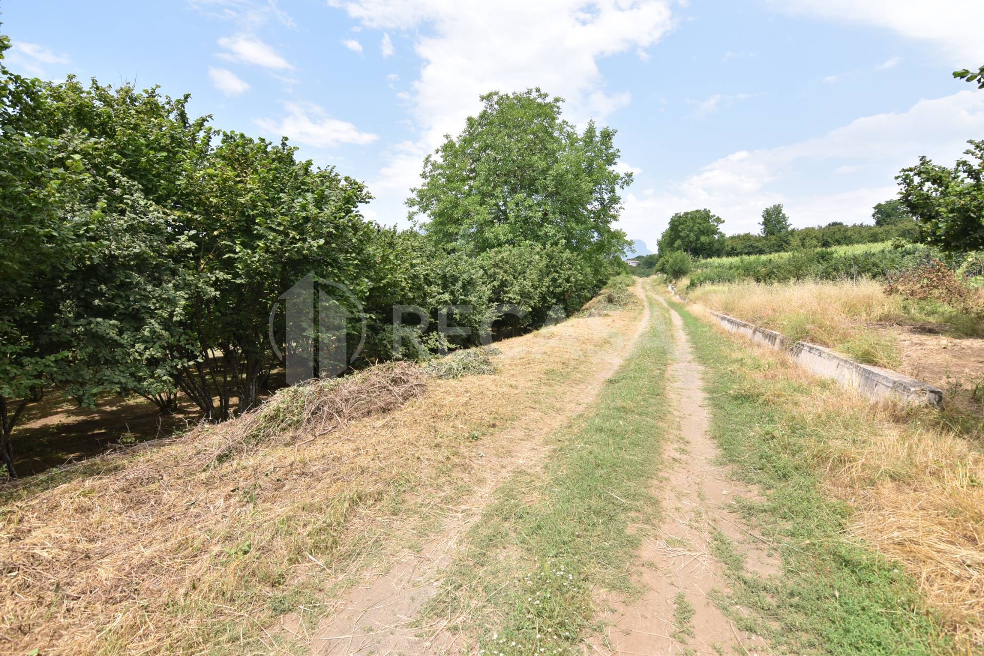 Terreno edificabile in vendita a Aiello del Sabato