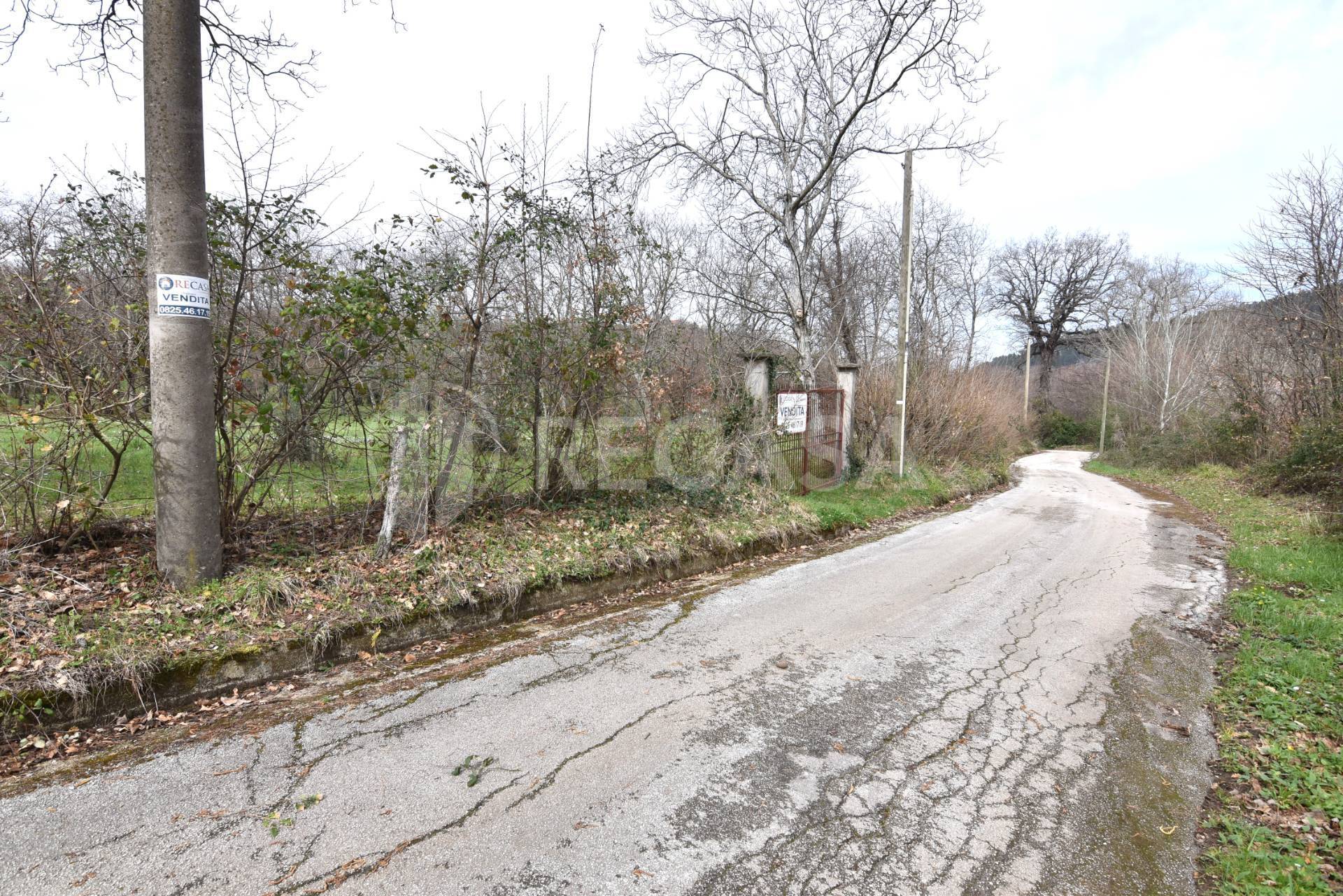 Terreno Agricolo in vendita a Sorbo Serpico