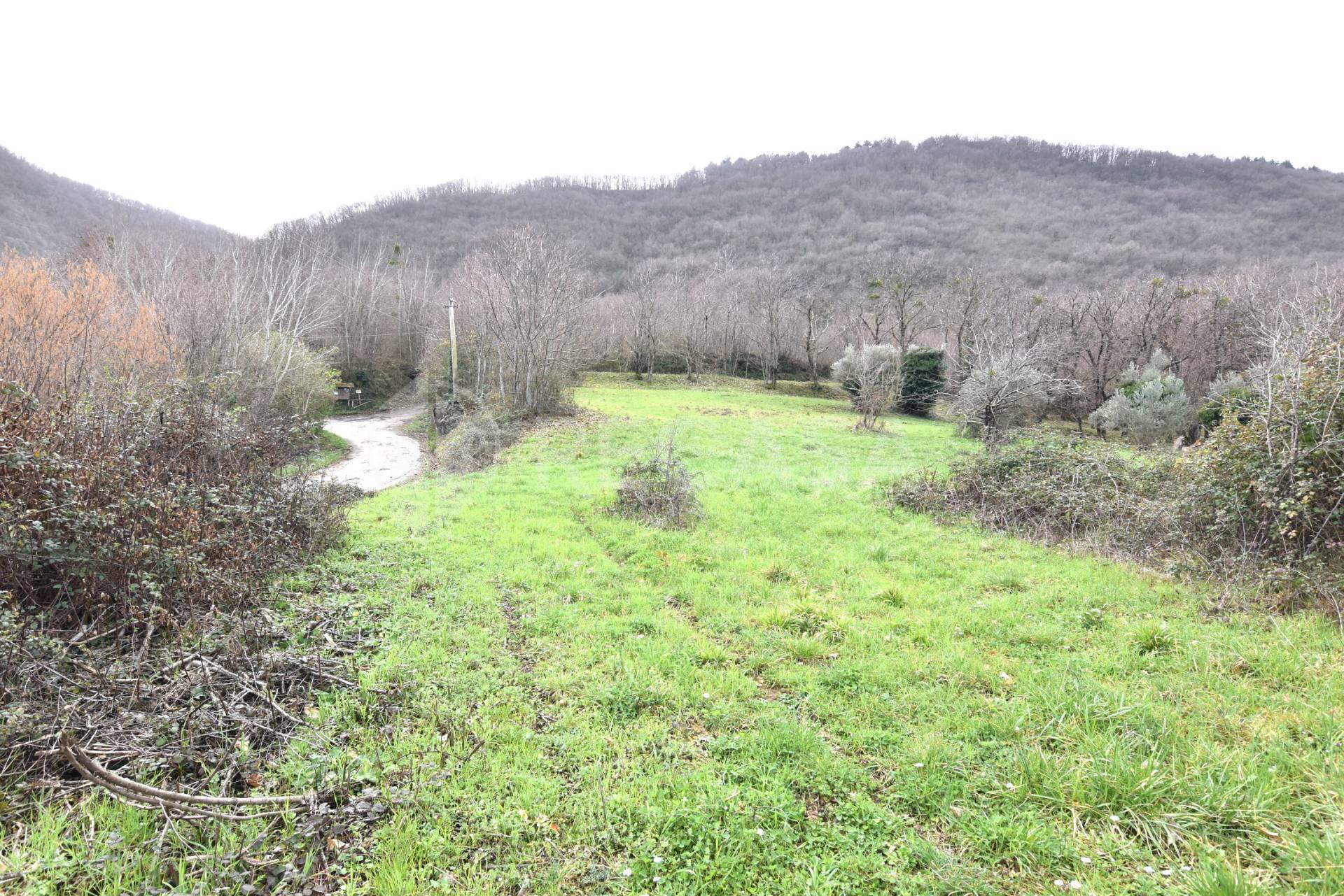 Terreno Agricolo in vendita a Sorbo Serpico