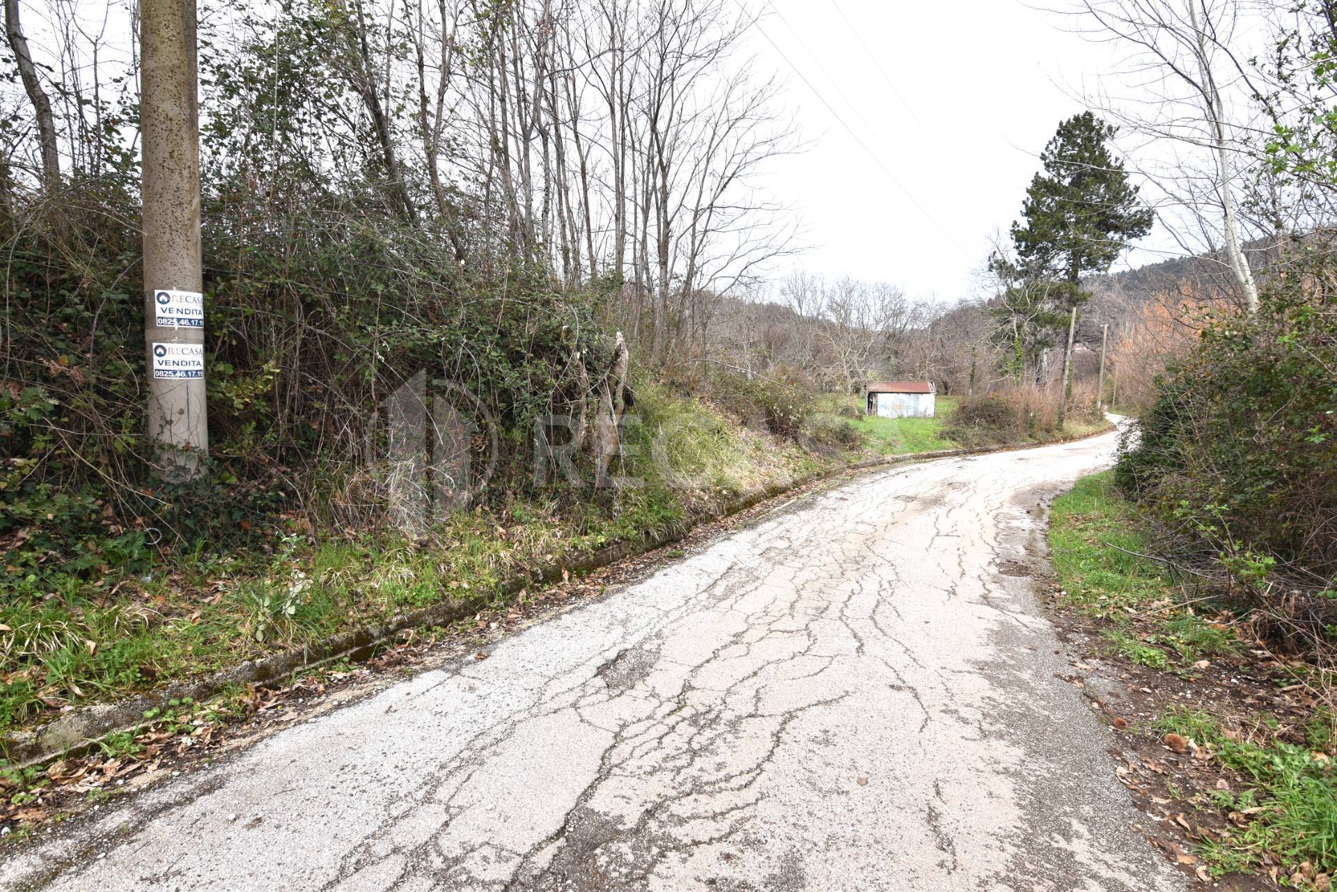 Terreno Agricolo in vendita a Sorbo Serpico