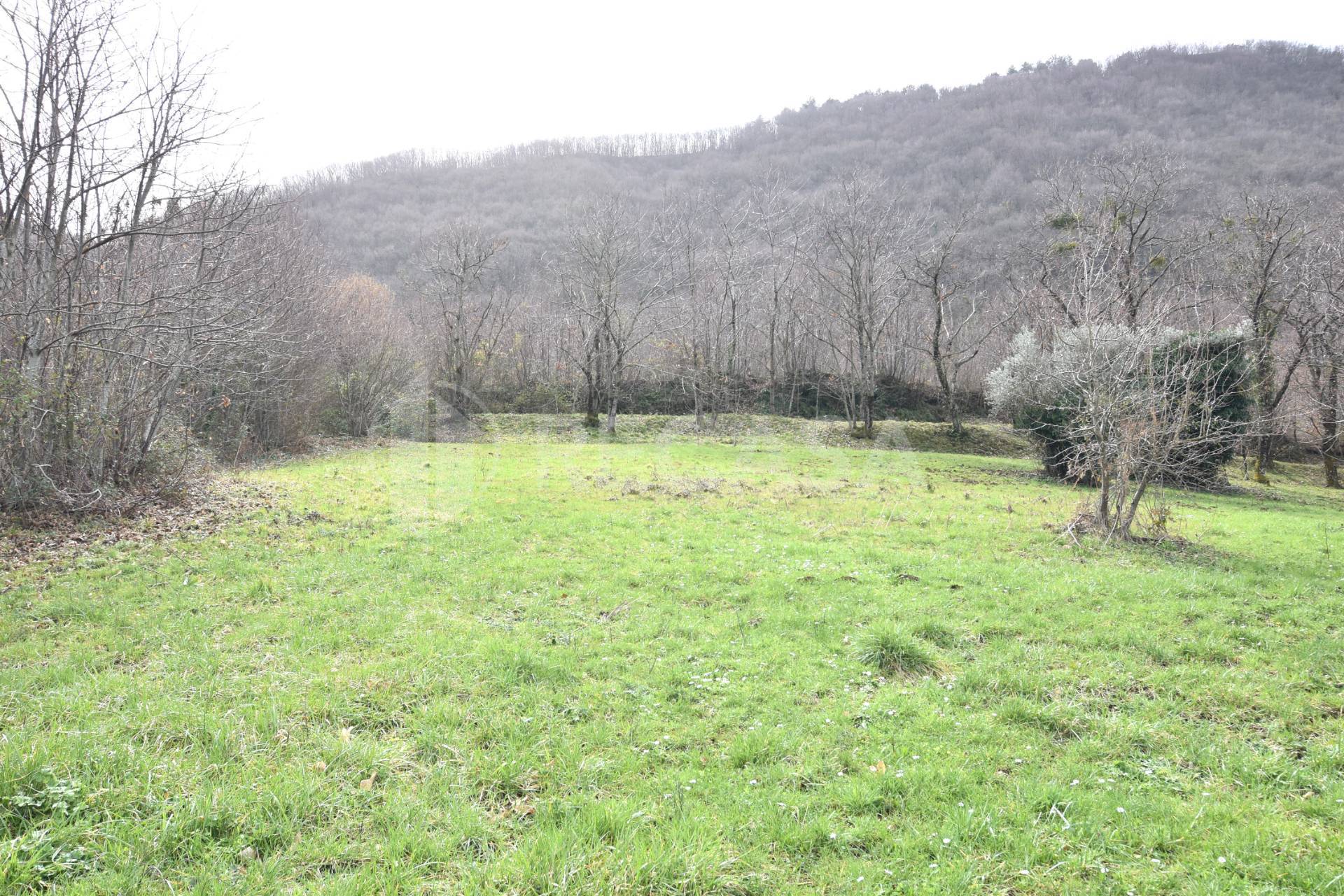 Terreno Agricolo in vendita a Sorbo Serpico