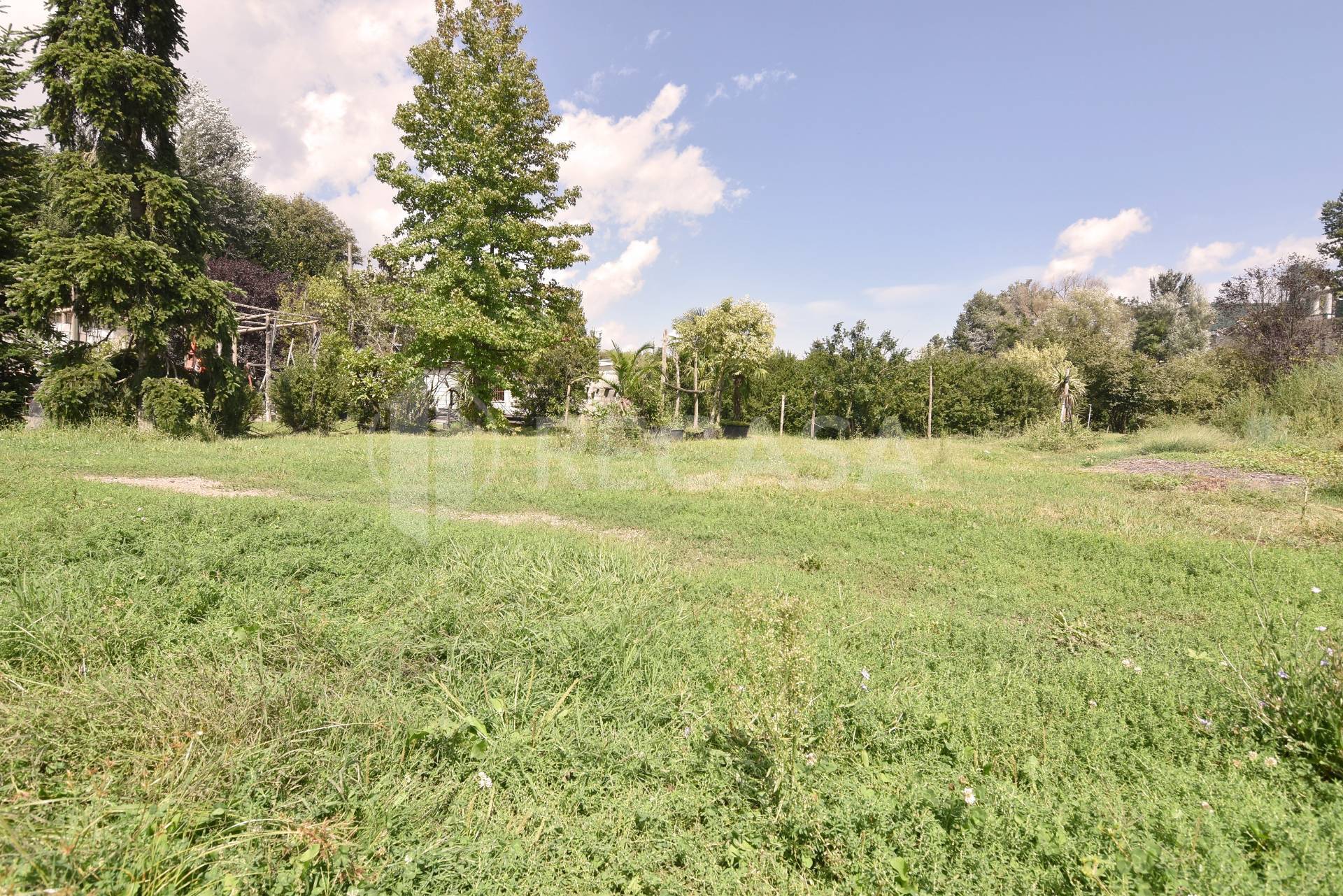 Terreno Agricolo in vendita a Avellino