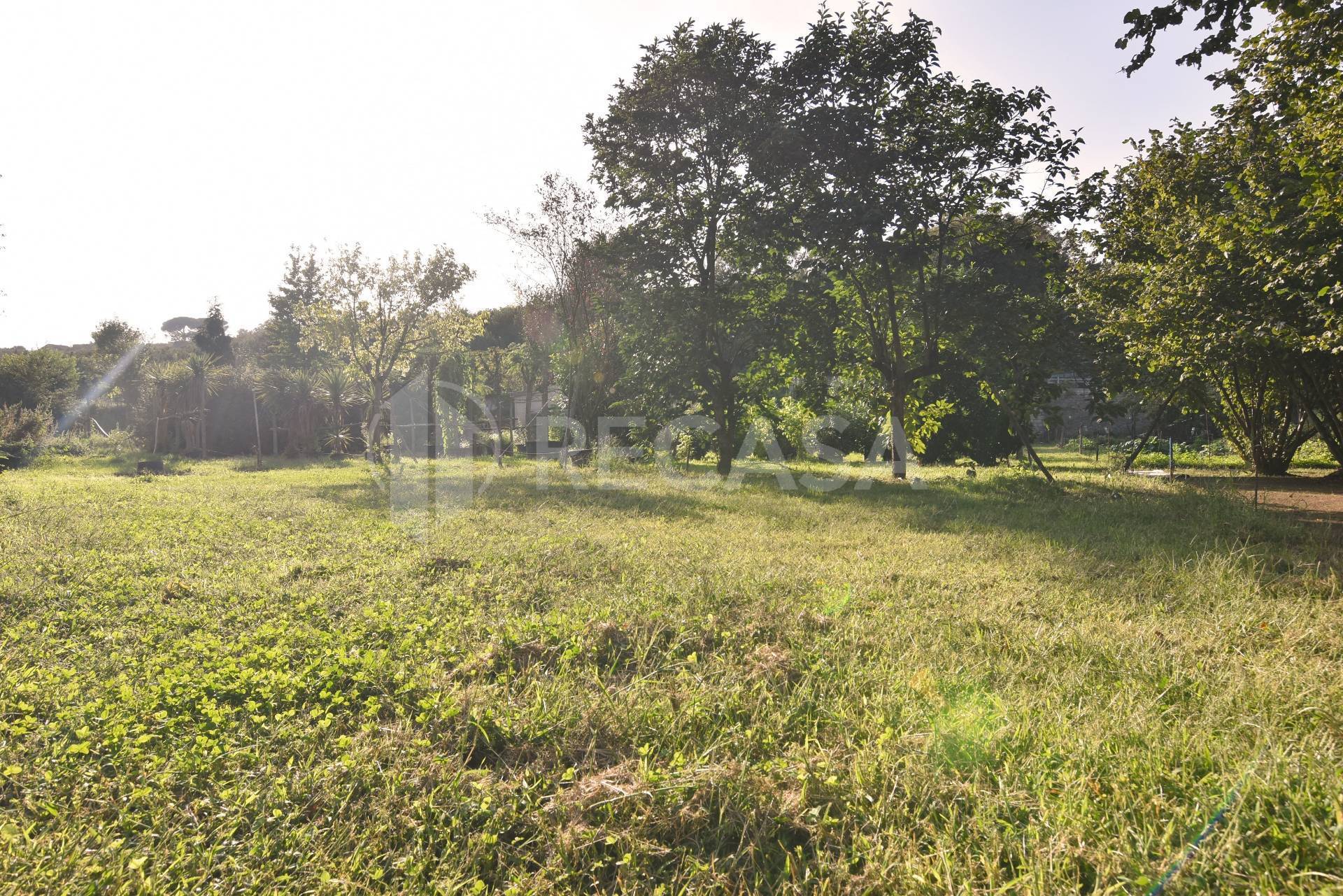 Terreno Agricolo in vendita a Avellino