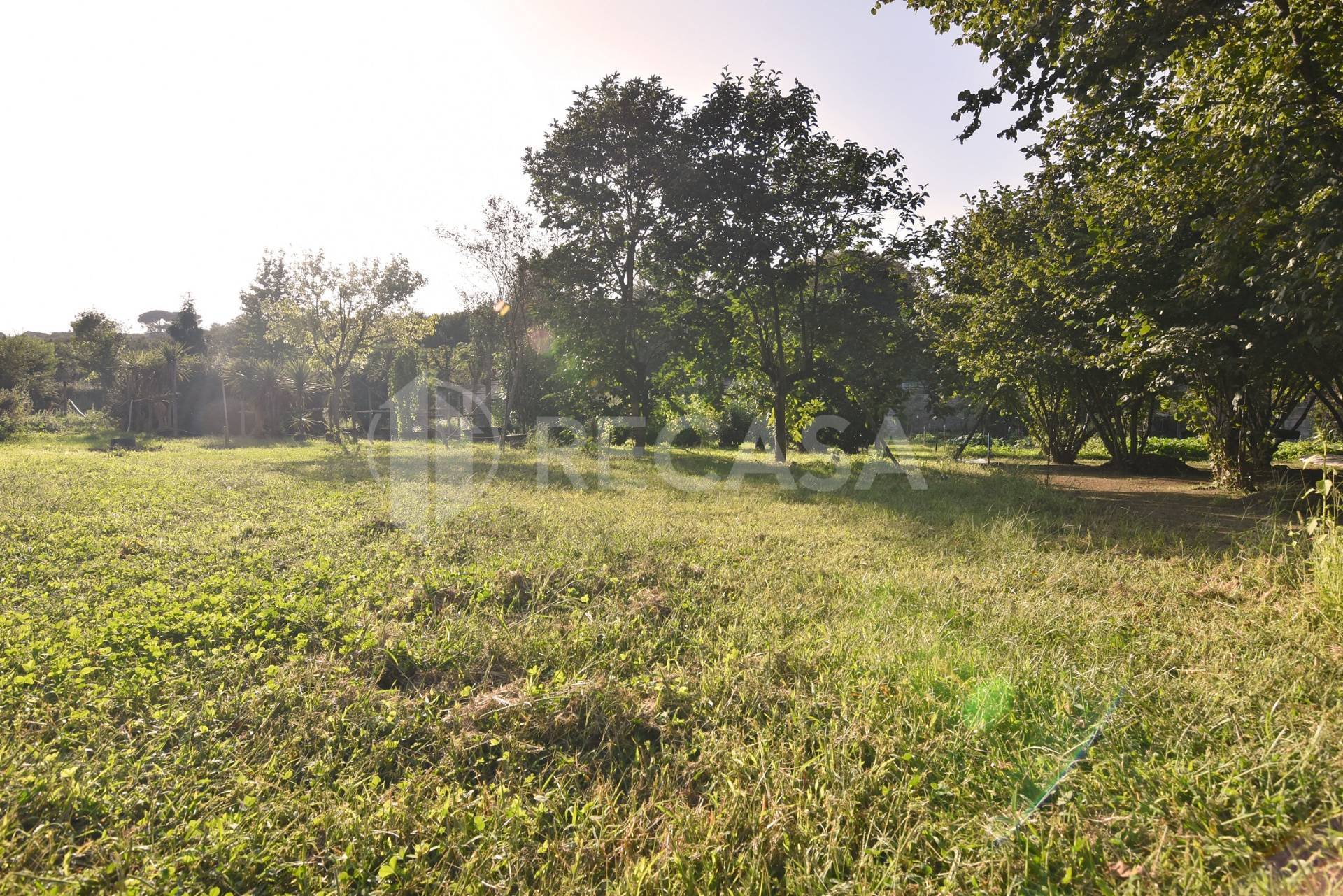 Terreno Agricolo in vendita a Avellino