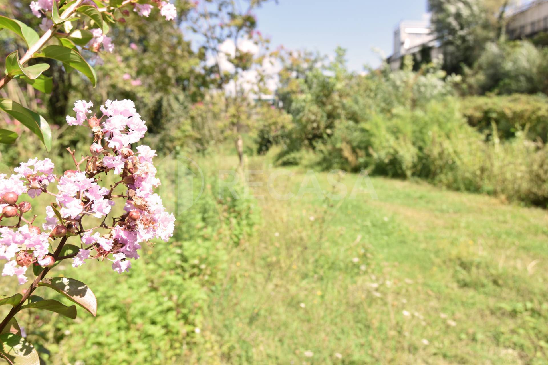 Terreno Agricolo in vendita a Avellino