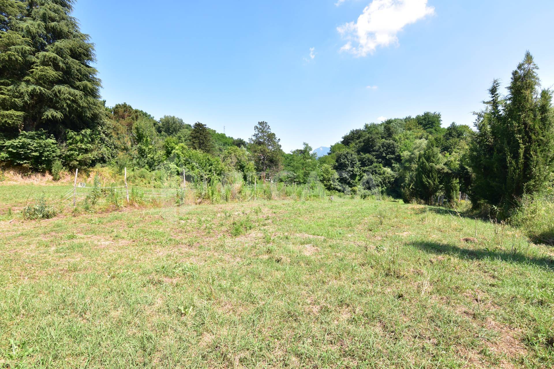 Terreno Agricolo in vendita a Prata di Principato Ultra