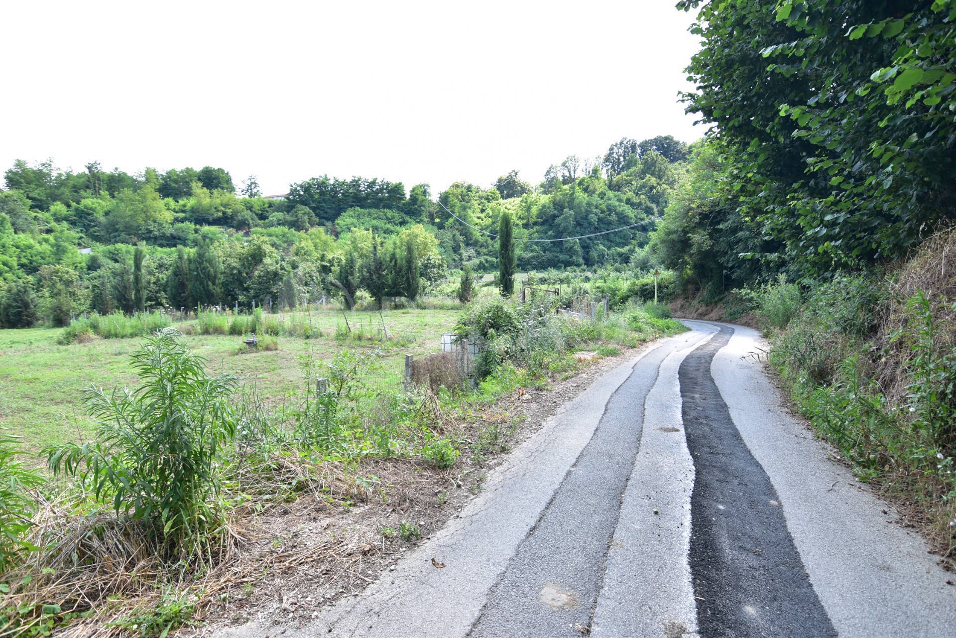 Terreno Agricolo in vendita a Prata di Principato Ultra
