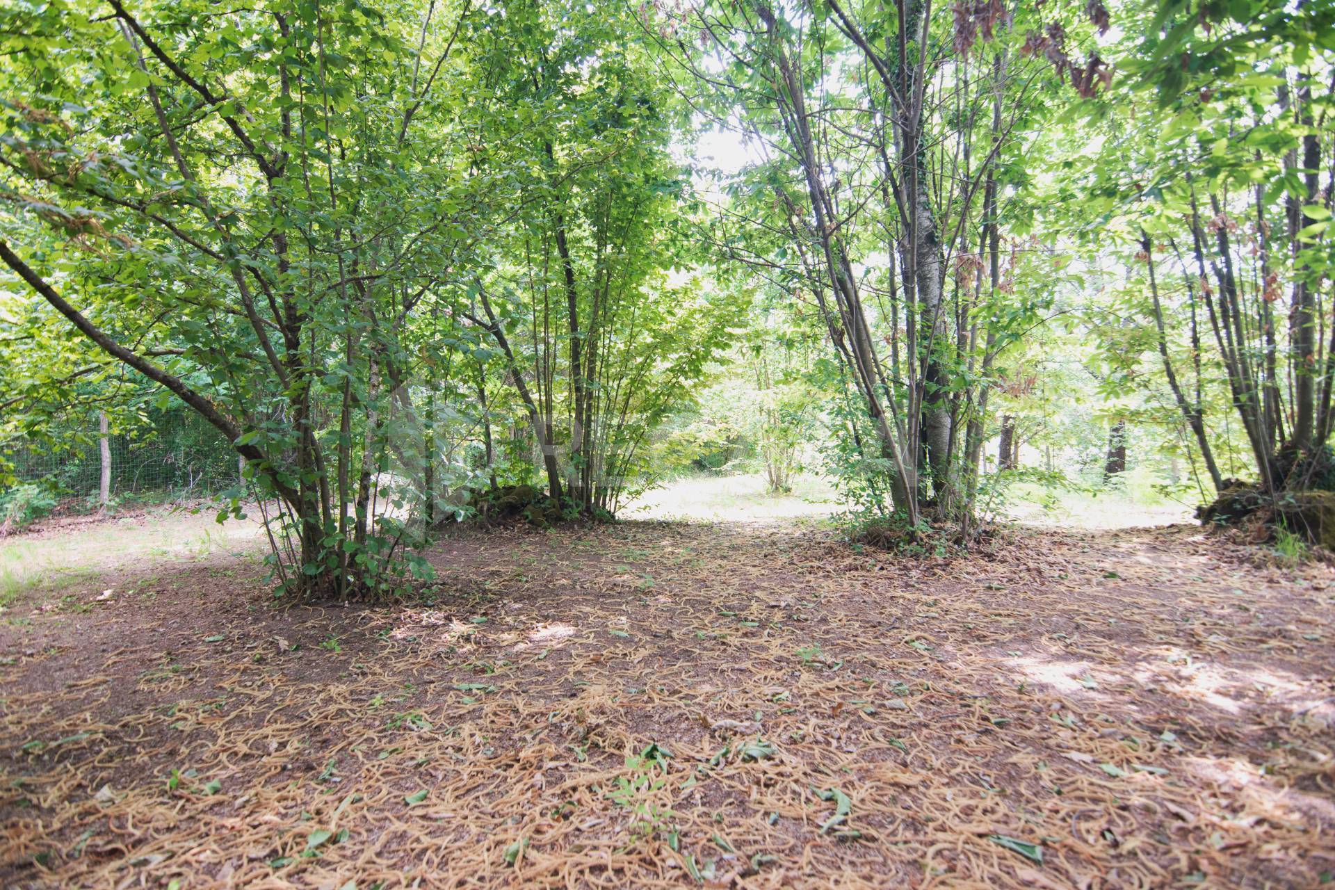 Terreno Agricolo in vendita a San Potito Ultra