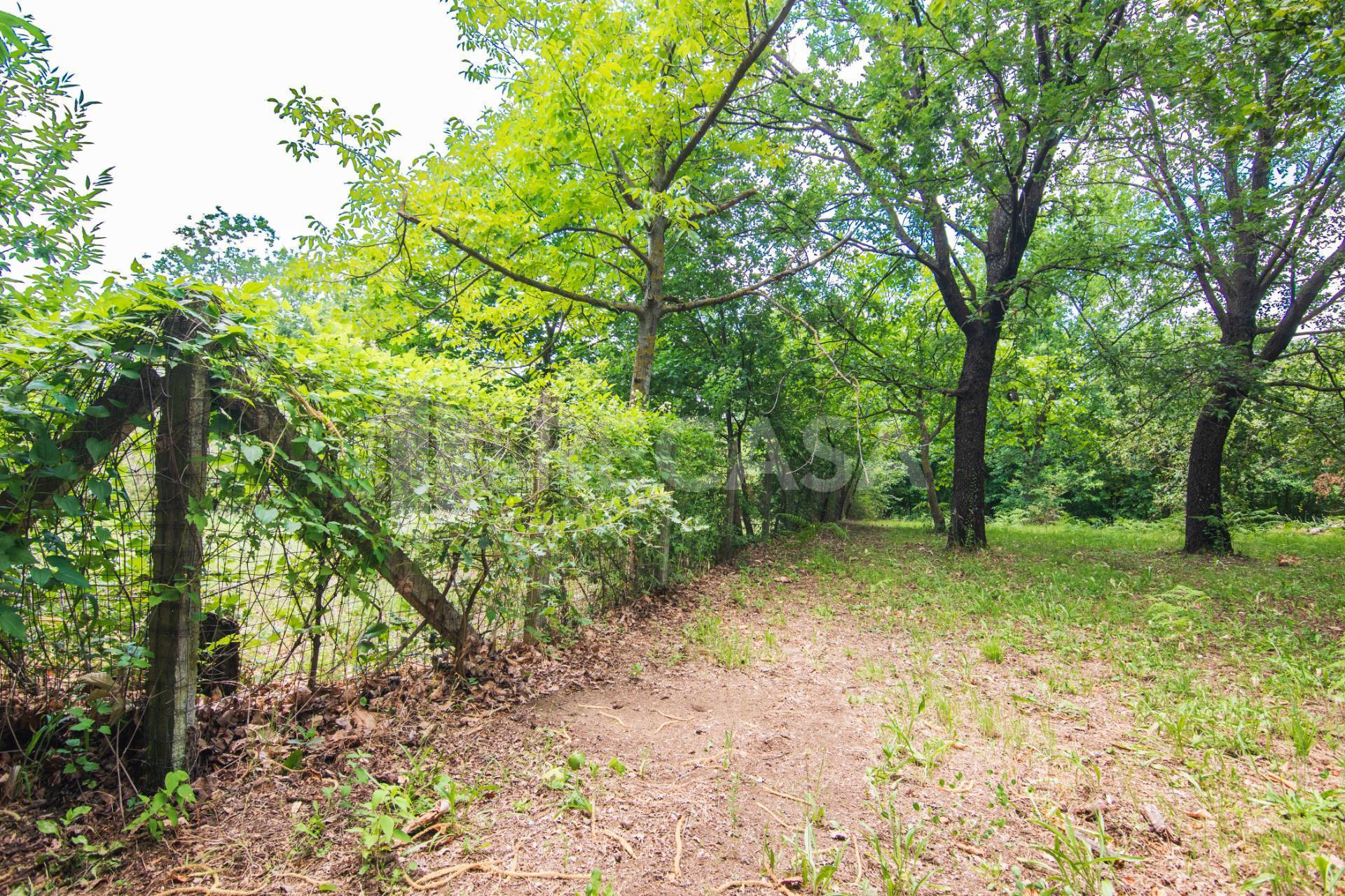 Terreno Agricolo in vendita a San Potito Ultra