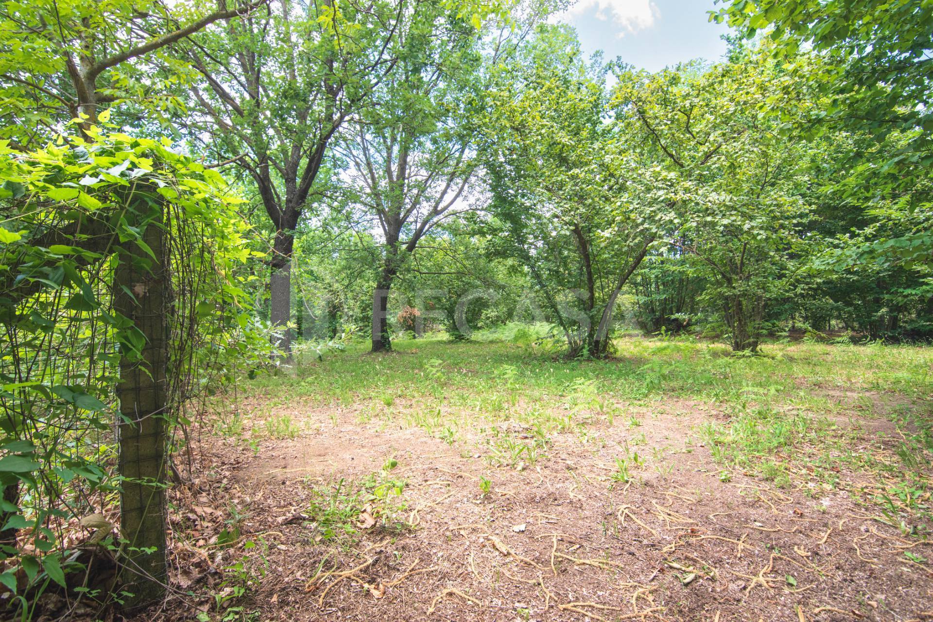 Terreno Agricolo in vendita a San Potito Ultra
