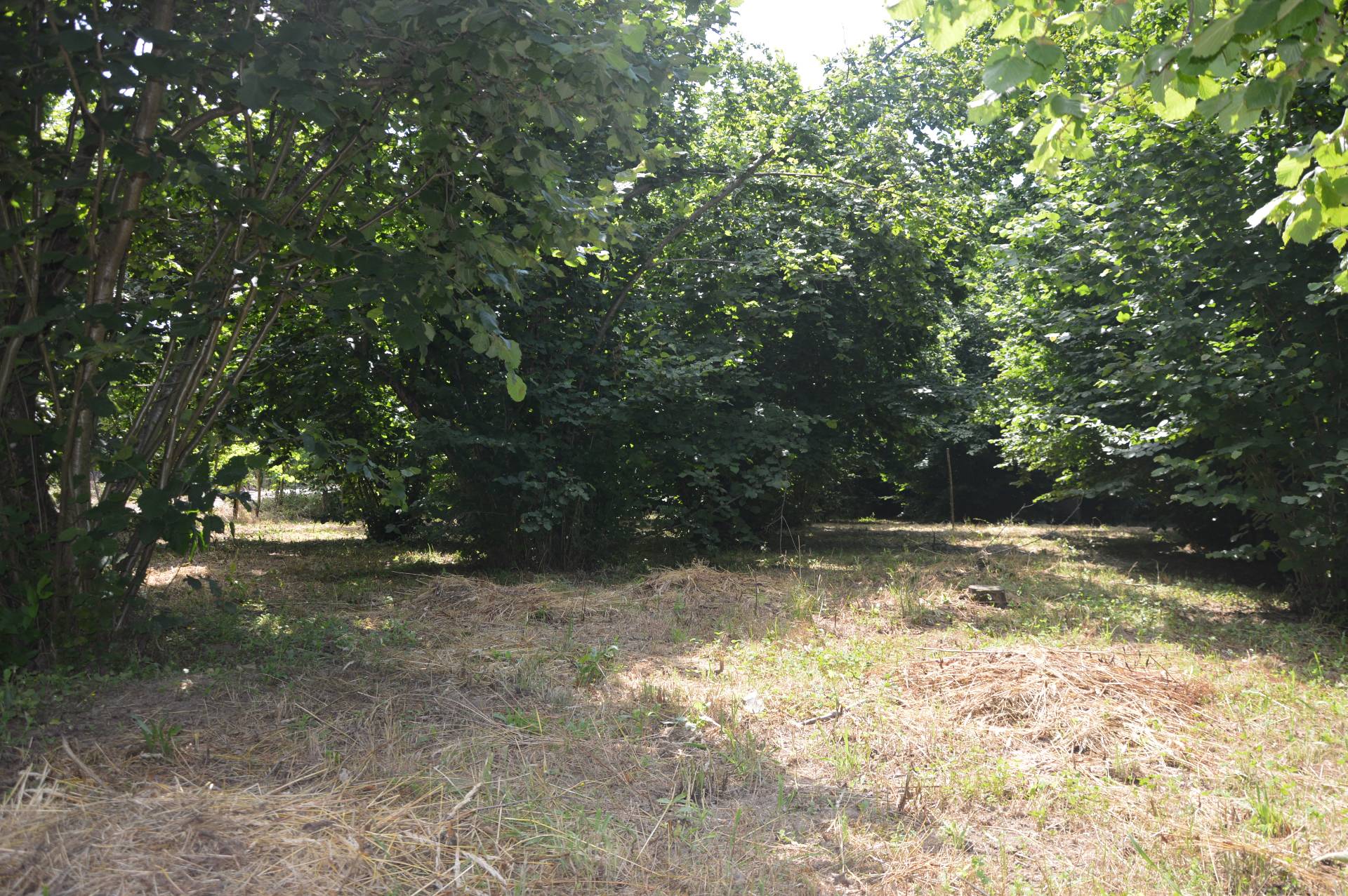 Terreno Agricolo in vendita a Atripalda