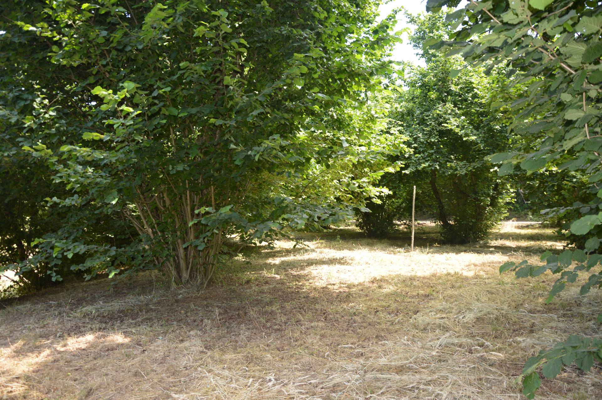 Terreno Agricolo in vendita a Atripalda