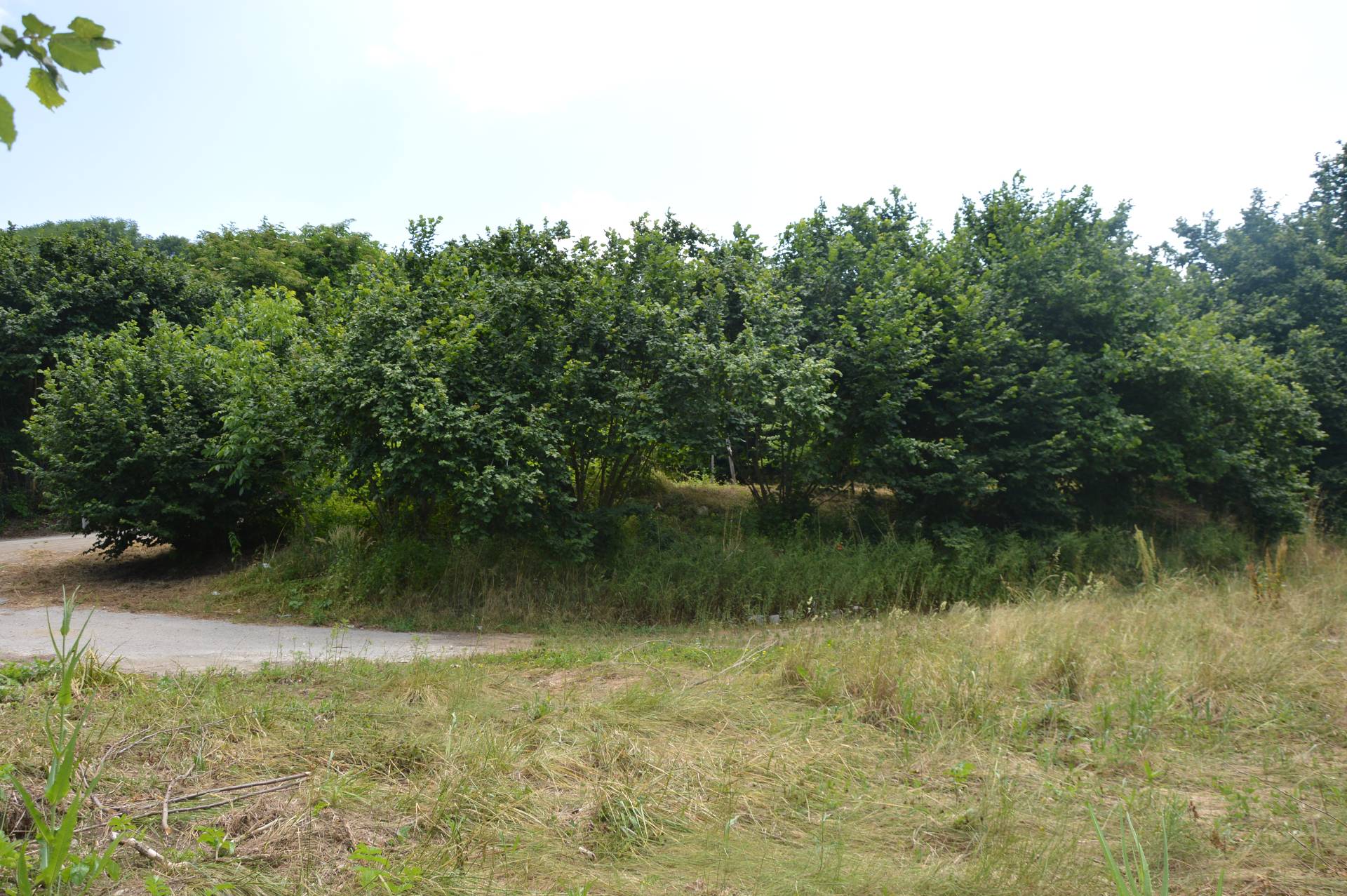 Terreno Agricolo in vendita a Atripalda