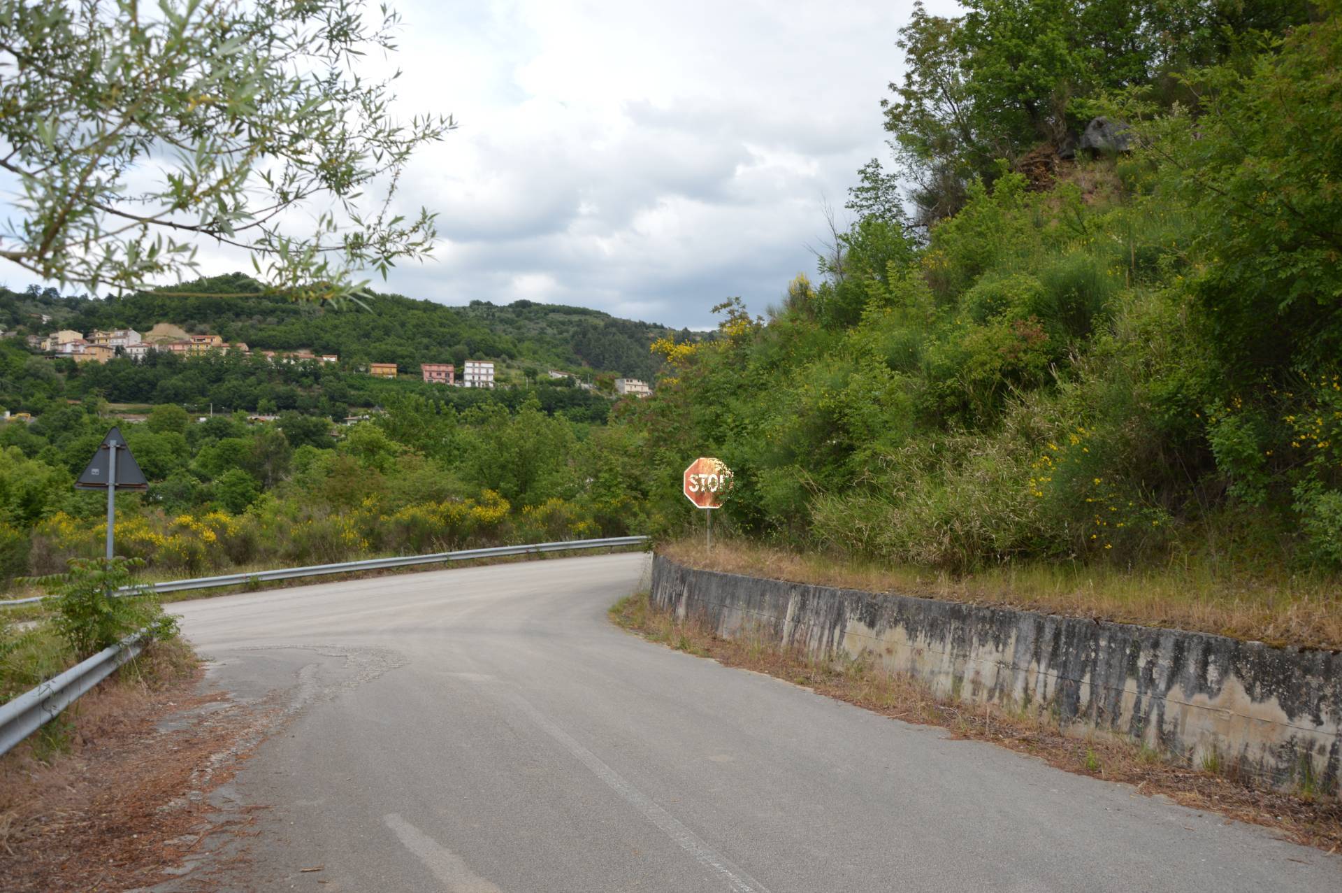 Terreno Agricolo in vendita a San Mango sul Calore, Malvito