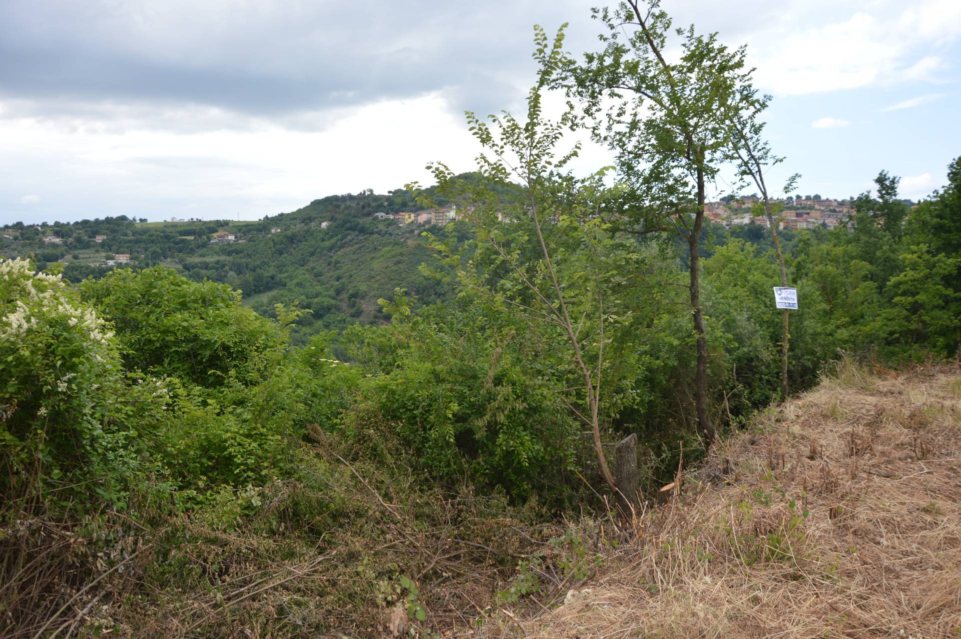 Terreno Agricolo in vendita a San Mango sul Calore, Malvito