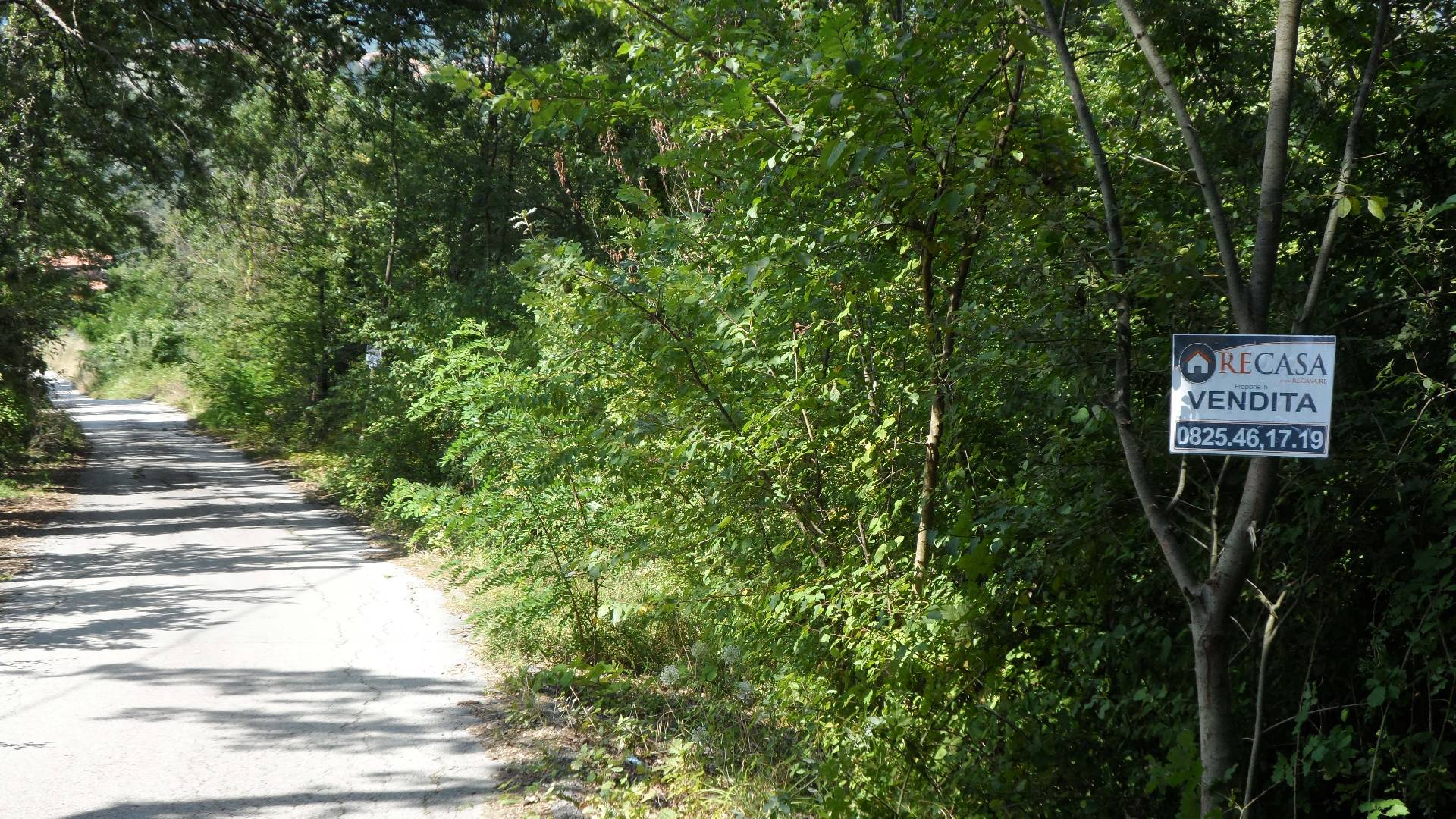 Terreno Agricolo in vendita a Candida